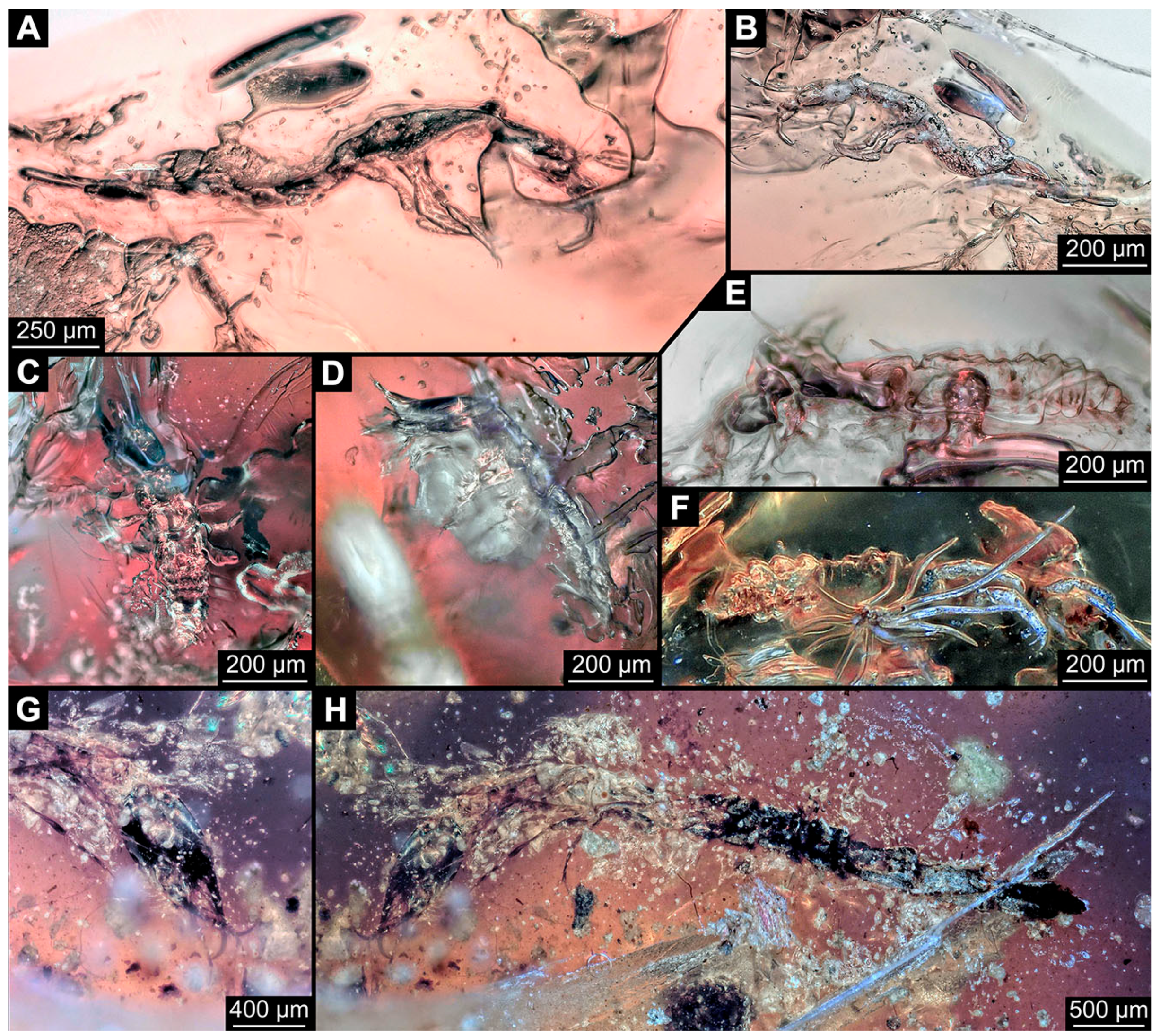 Insects 14 00749 g012 Insects 14 00749 g012