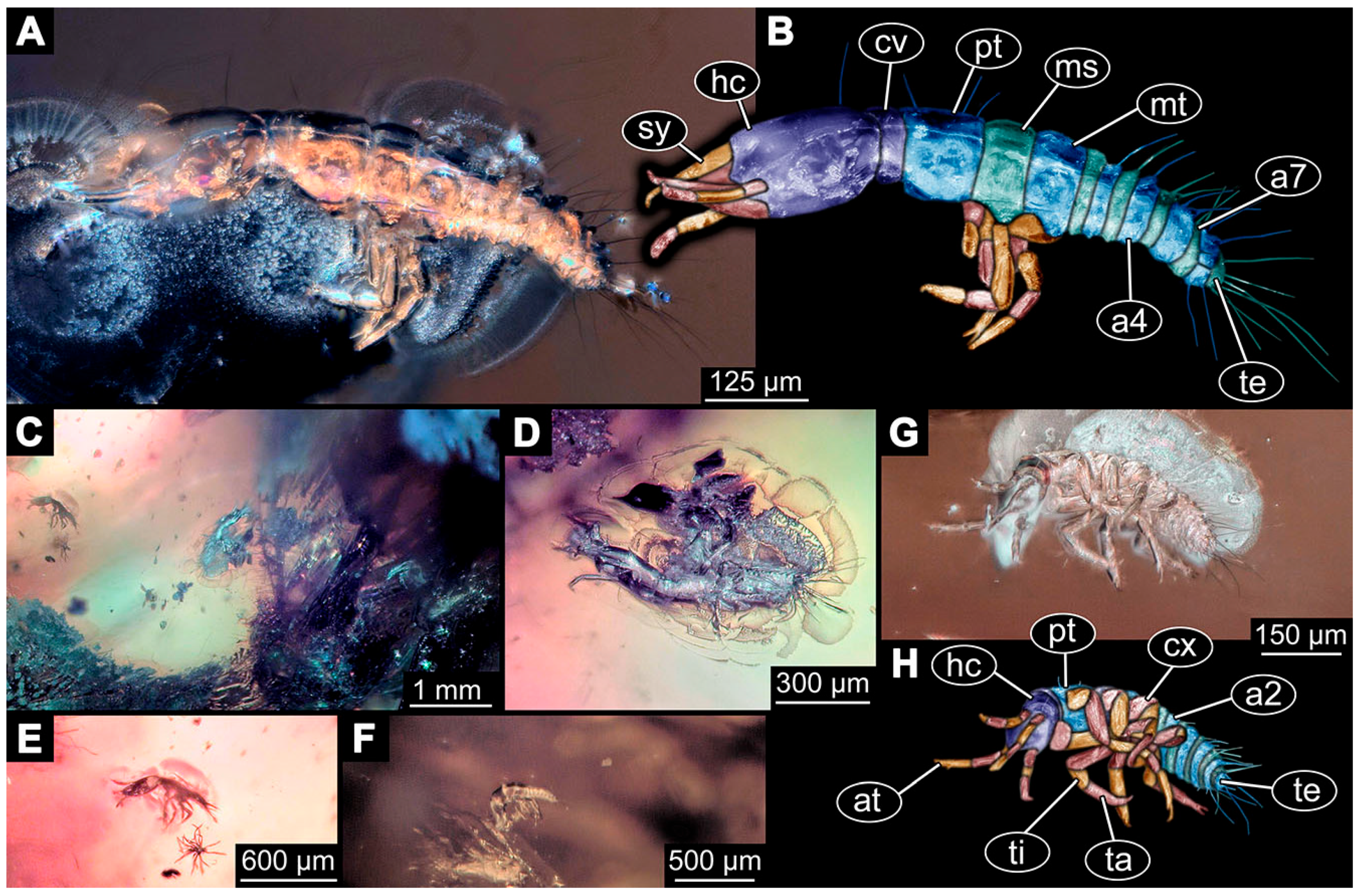 Insects 14 00749 g013 Insects 14 00749 g013