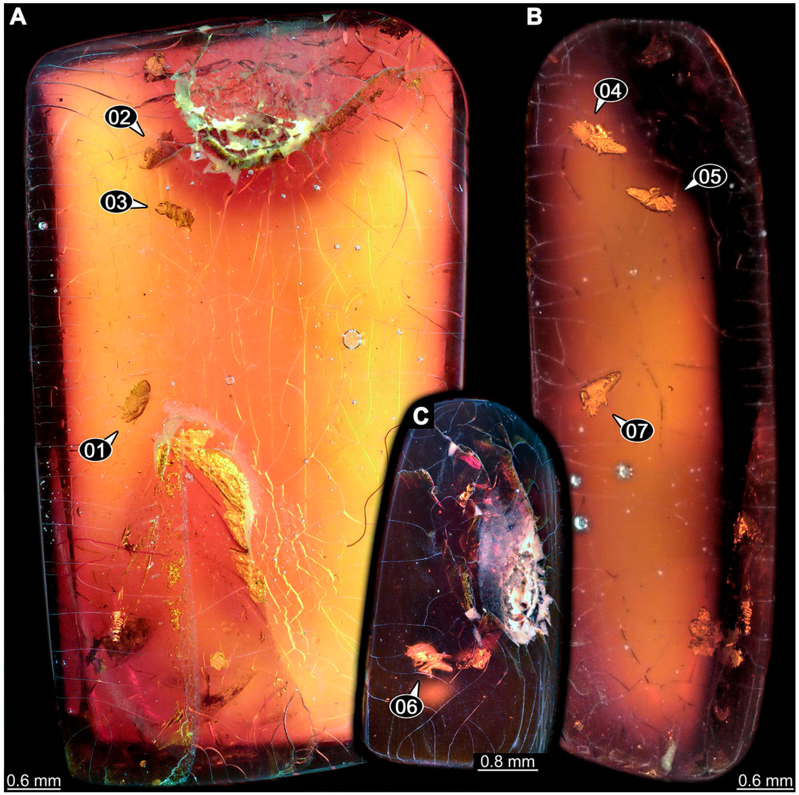 Insects 14 00749 g014 Insects 14 00749 g014