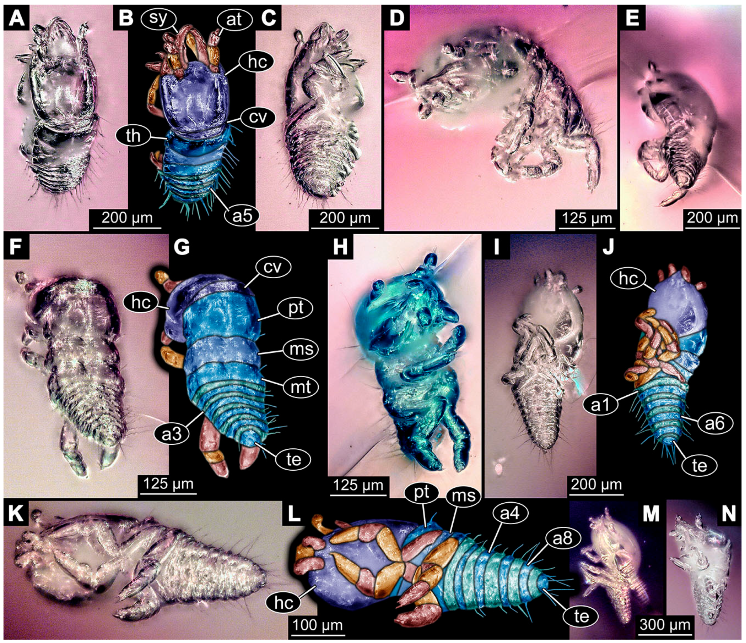 Insects 14 00749 g015 Insects 14 00749 g015