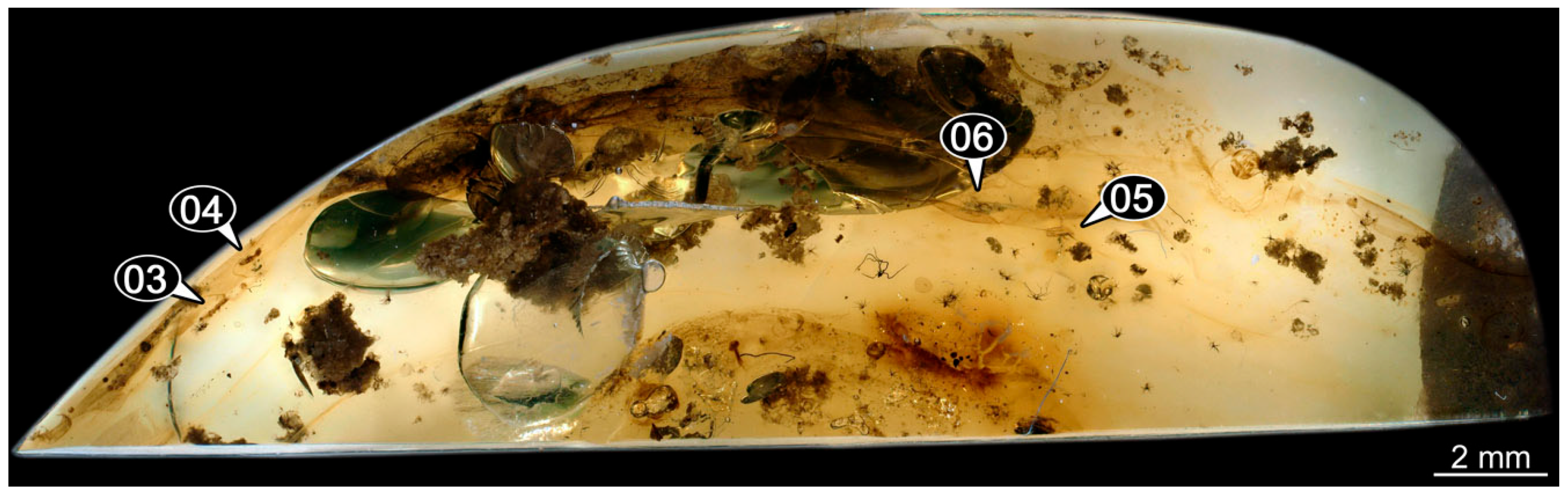 Insects 14 00749 g016 Insects 14 00749 g016