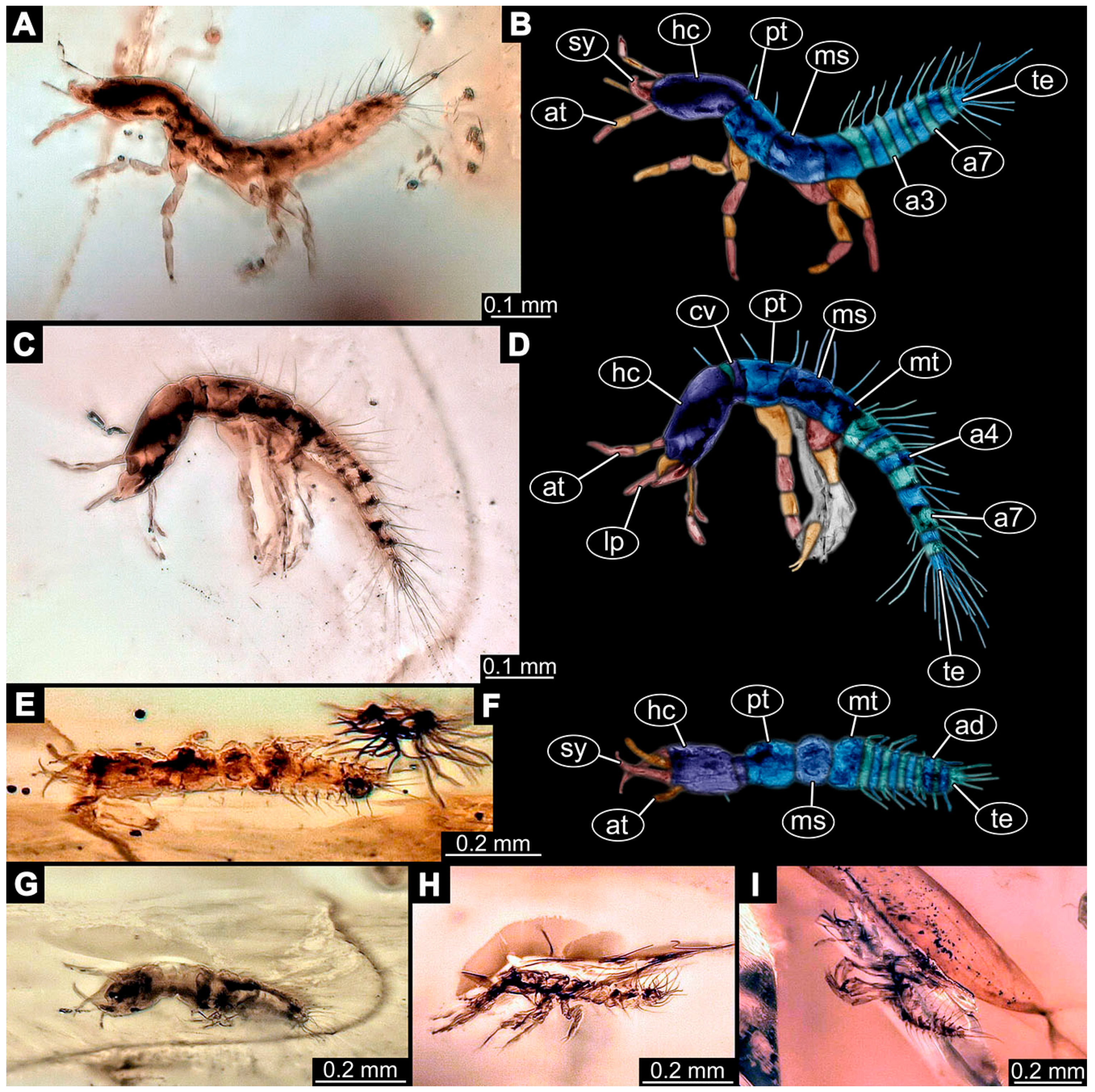 Insects 14 00749 g017 Insects 14 00749 g017