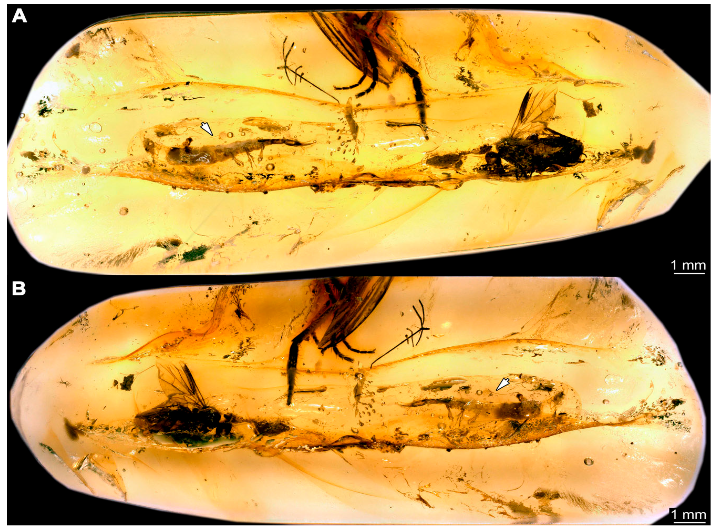 Insects 14 00749 g018 Insects 14 00749 g018