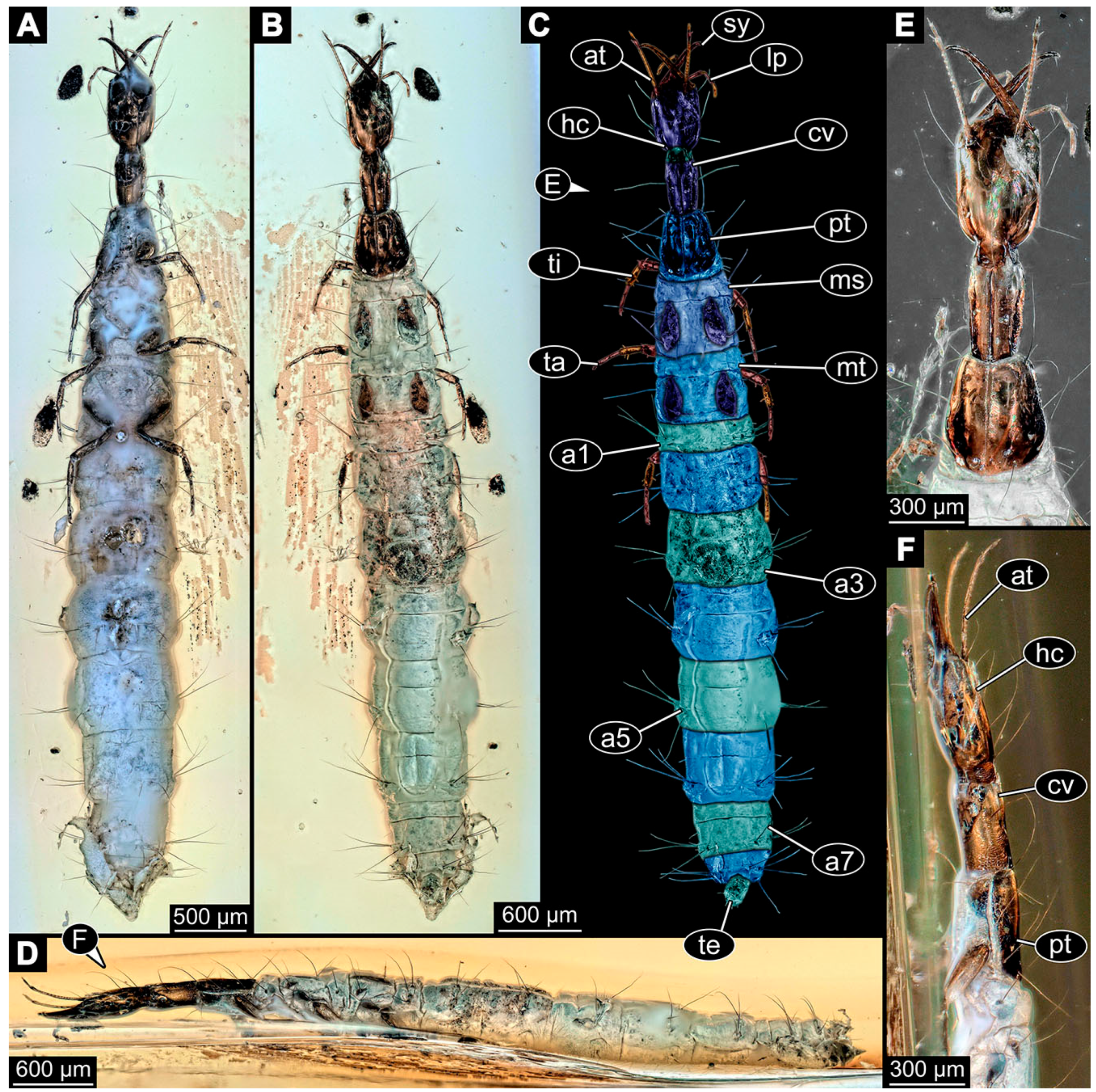 Insects 14 00749 g021 Insects 14 00749 g021