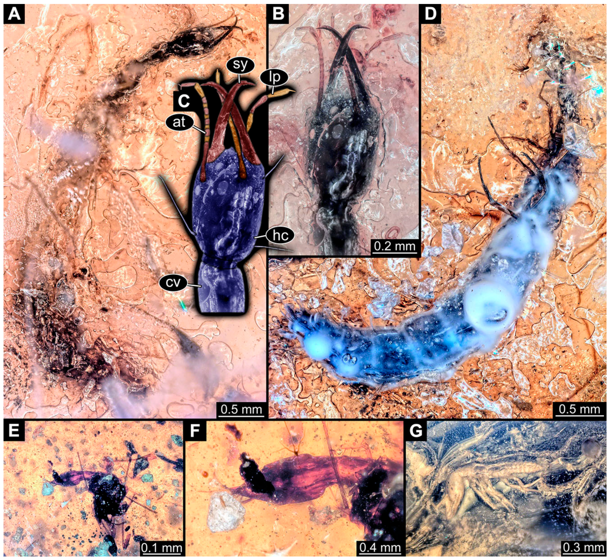 Insects 14 00749 g022 Insects 14 00749 g022