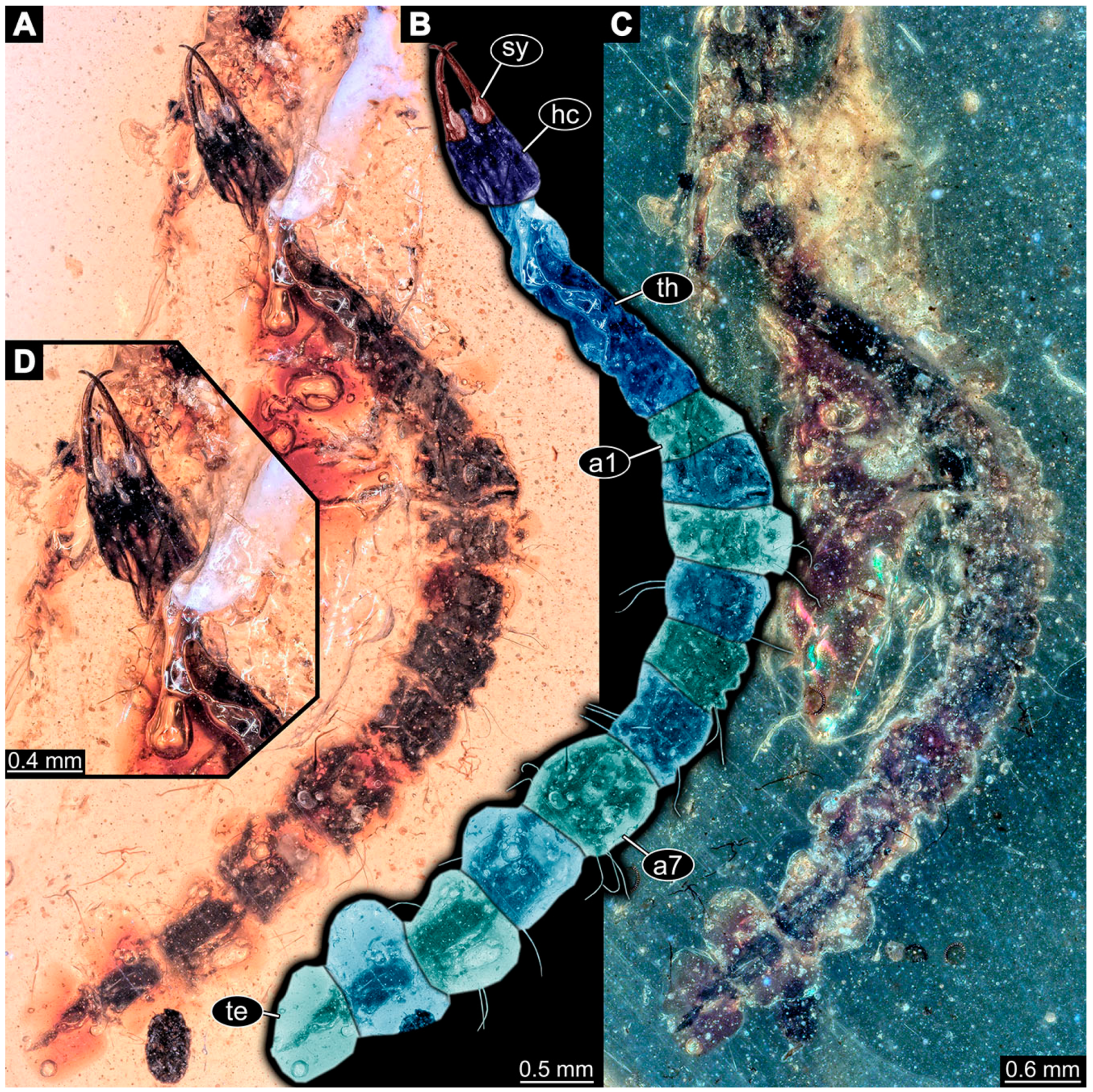 Insects 14 00749 g024 Insects 14 00749 g024