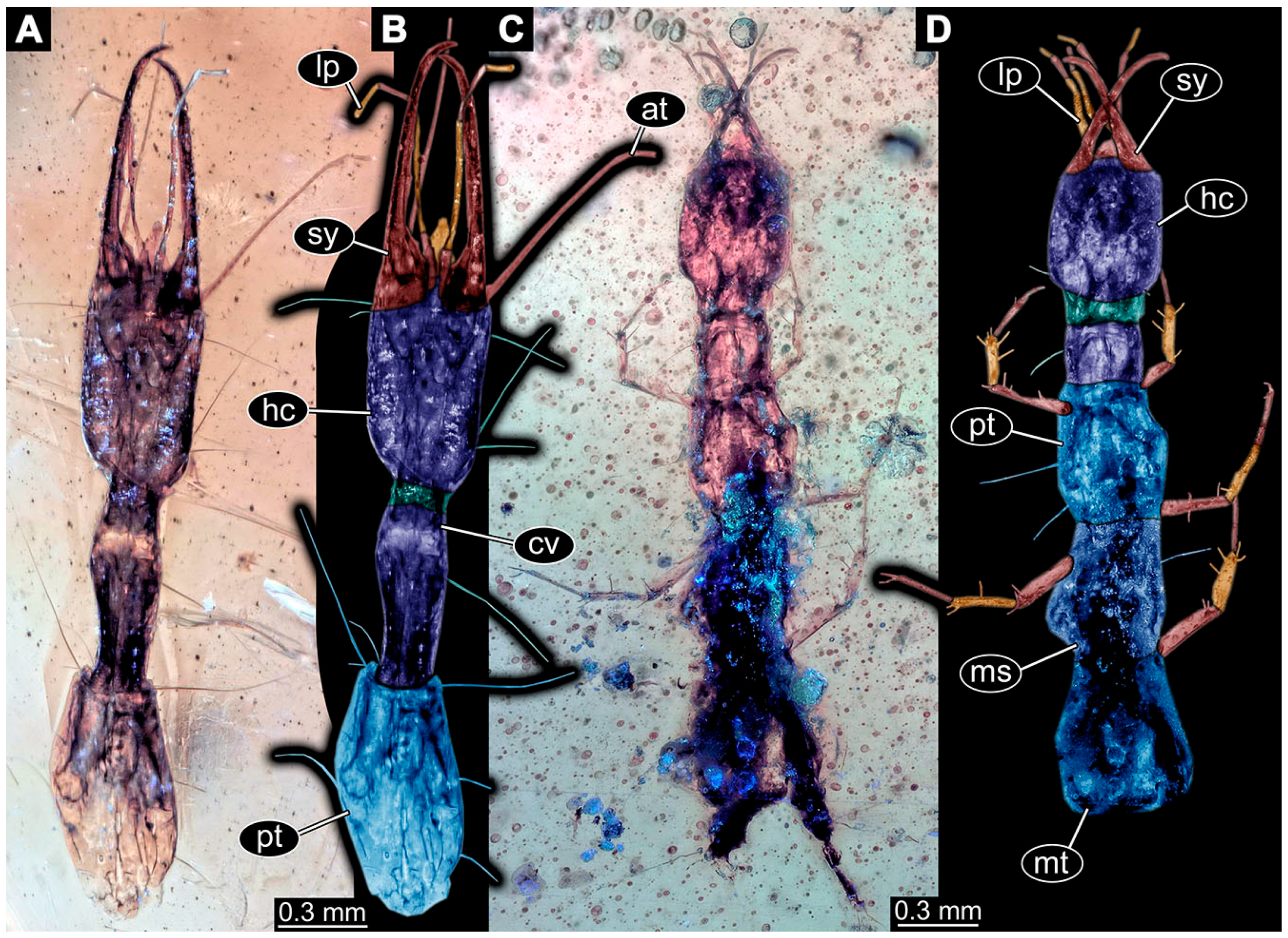 Insects 14 00749 g025 Insects 14 00749 g025