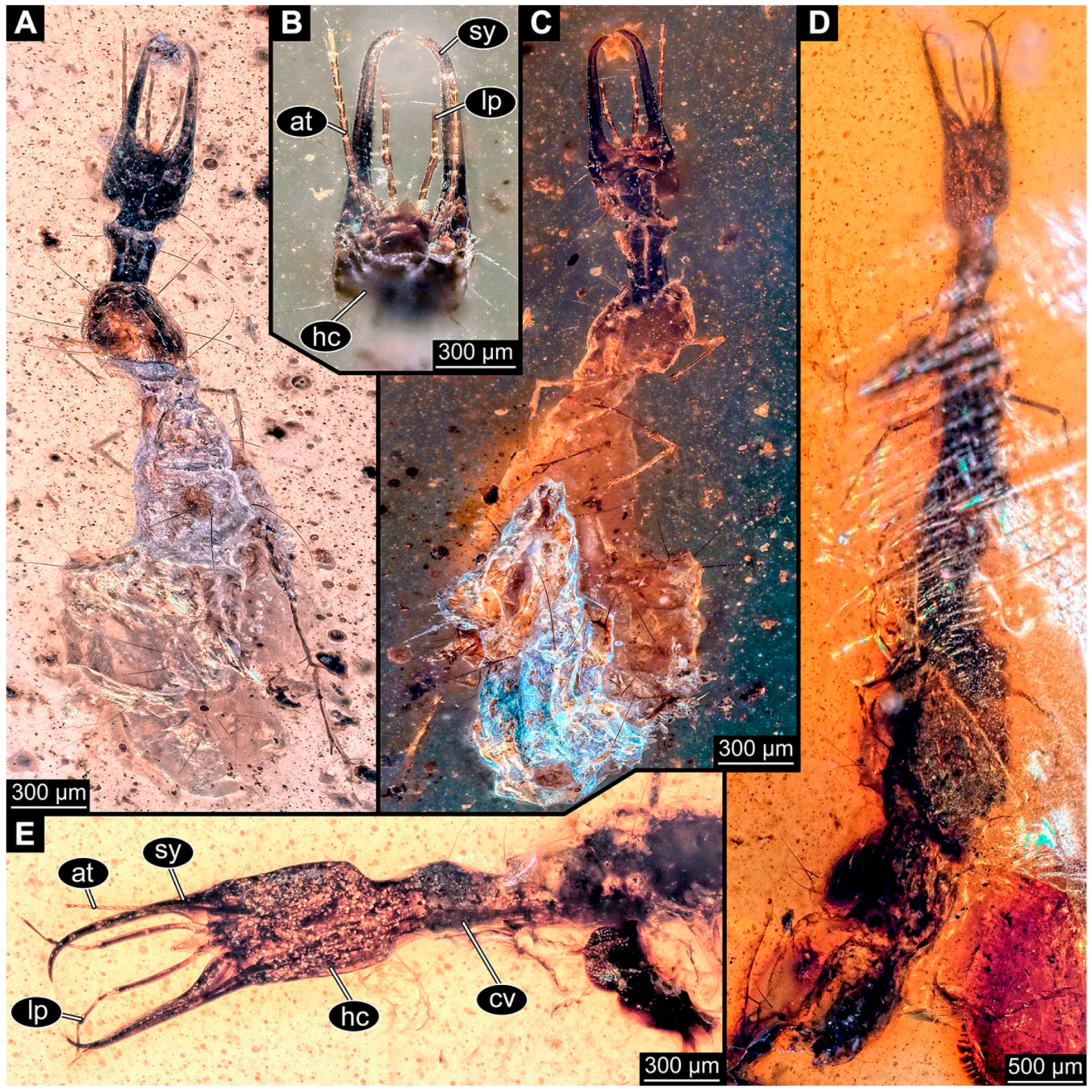 Insects 14 00749 g026 Insects 14 00749 g026