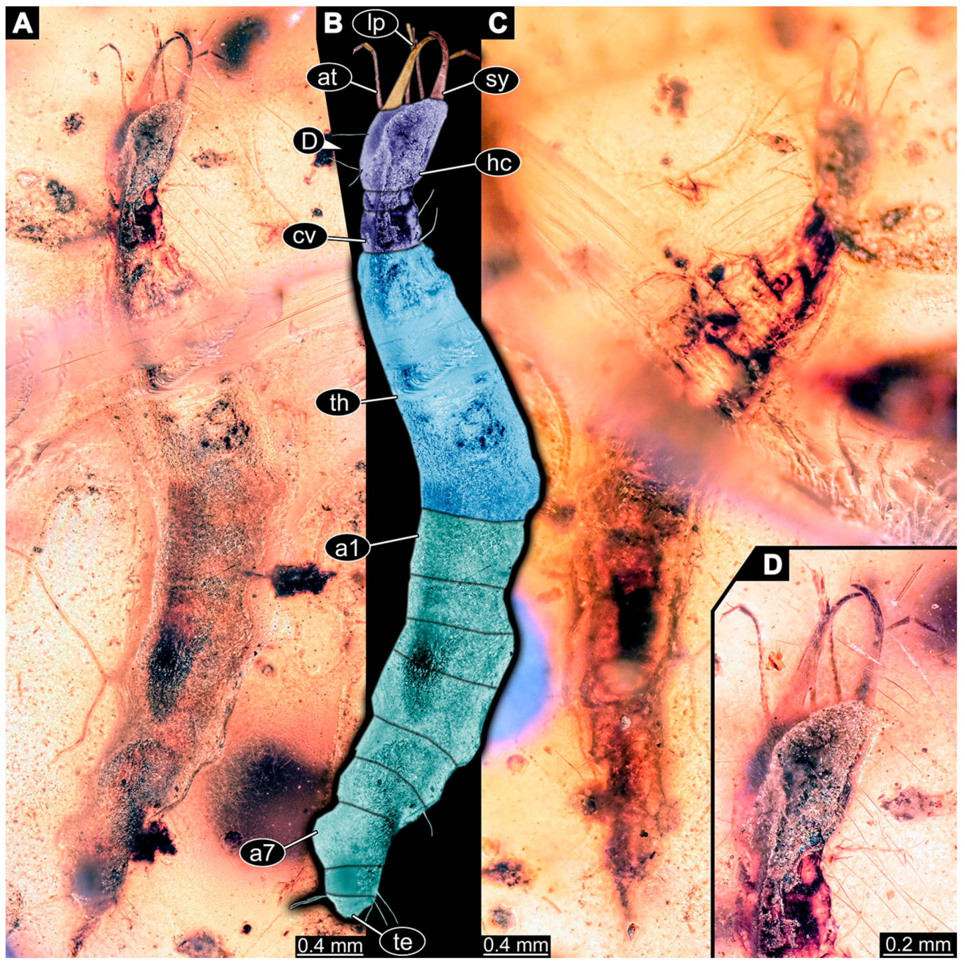 Insects 14 00749 g027 Insects 14 00749 g027