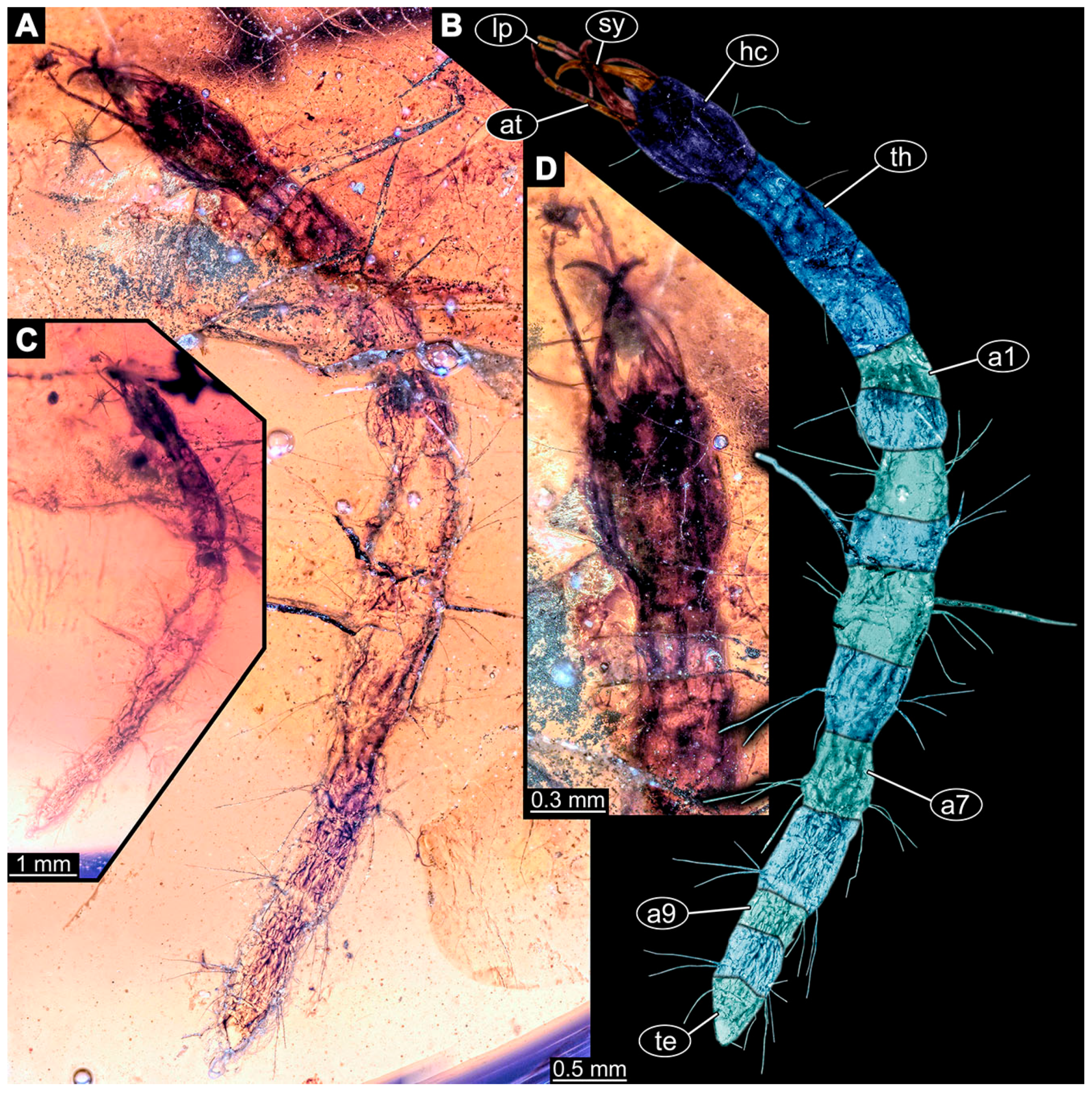 Insects 14 00749 g028 Insects 14 00749 g028