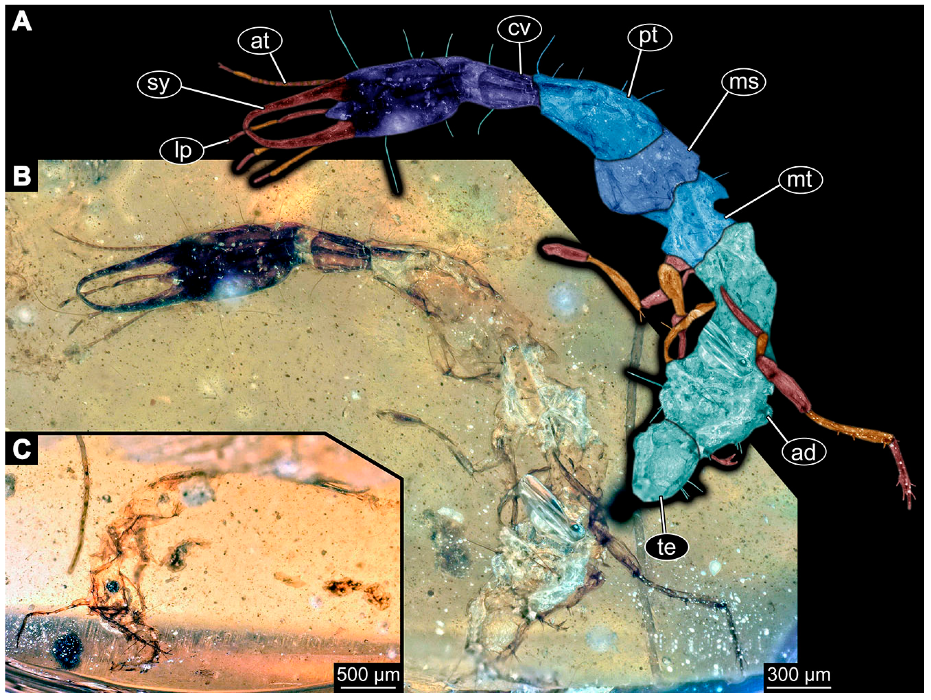 Insects 14 00749 g029 Insects 14 00749 g029