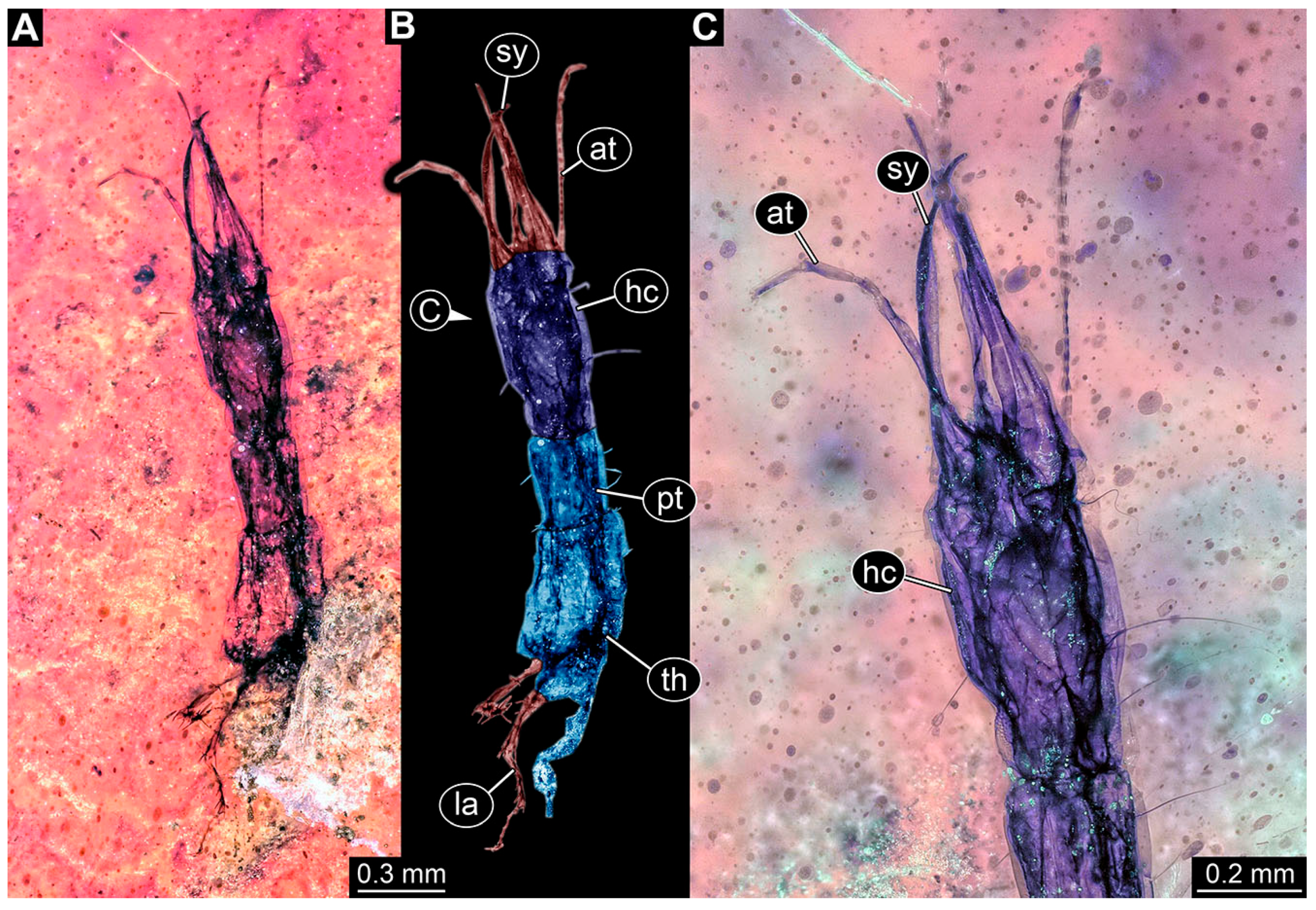 Insects 14 00749 g030 Insects 14 00749 g030