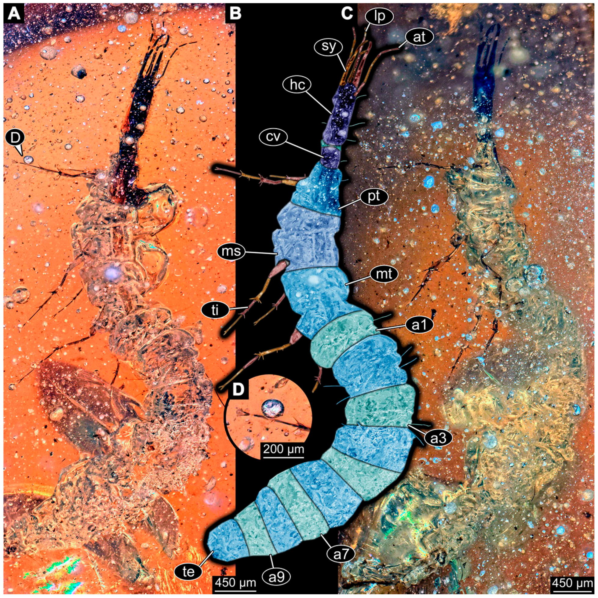 Insects 14 00749 g032 Insects 14 00749 g032