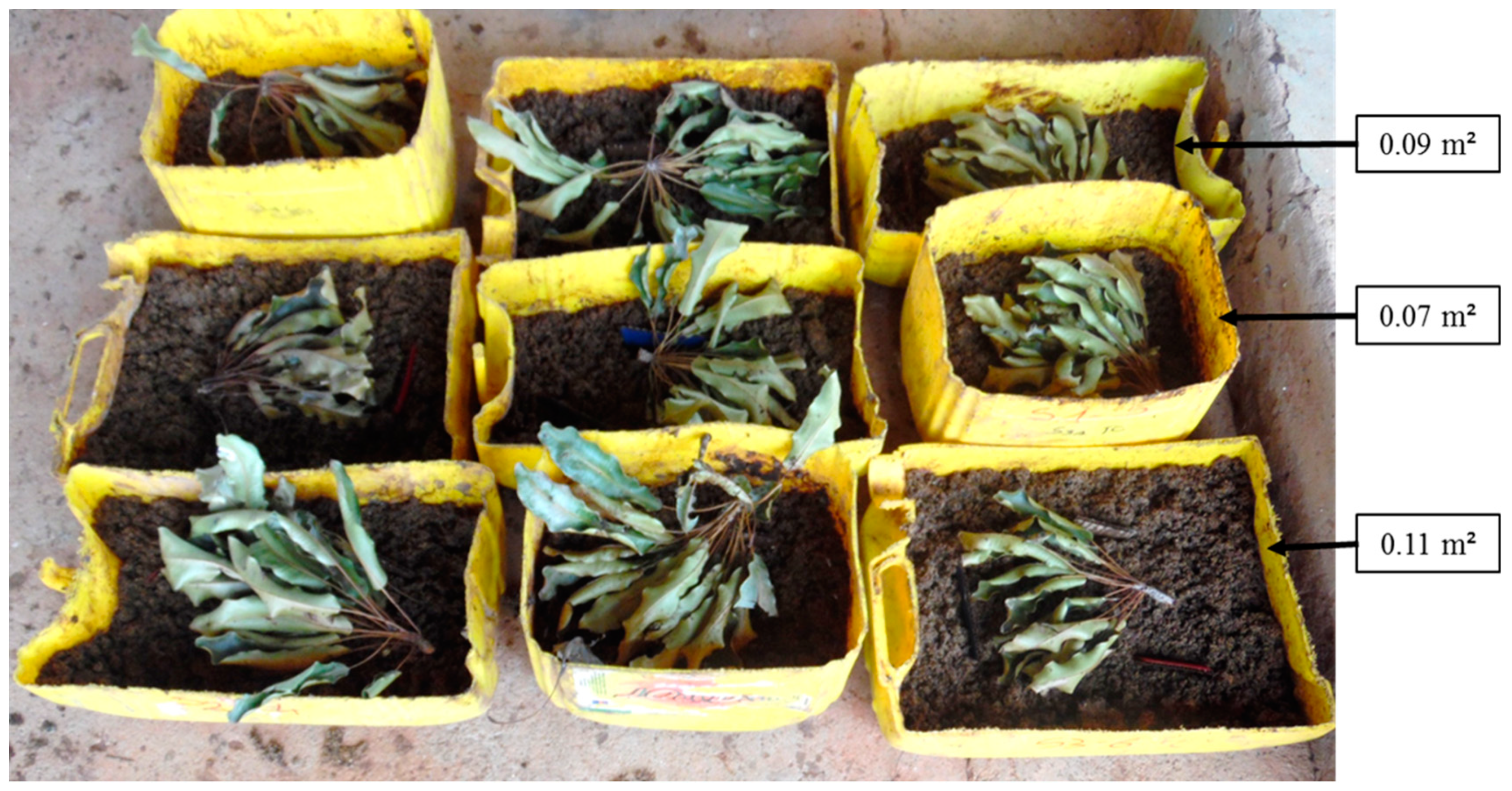 Insects 14 00776 g003