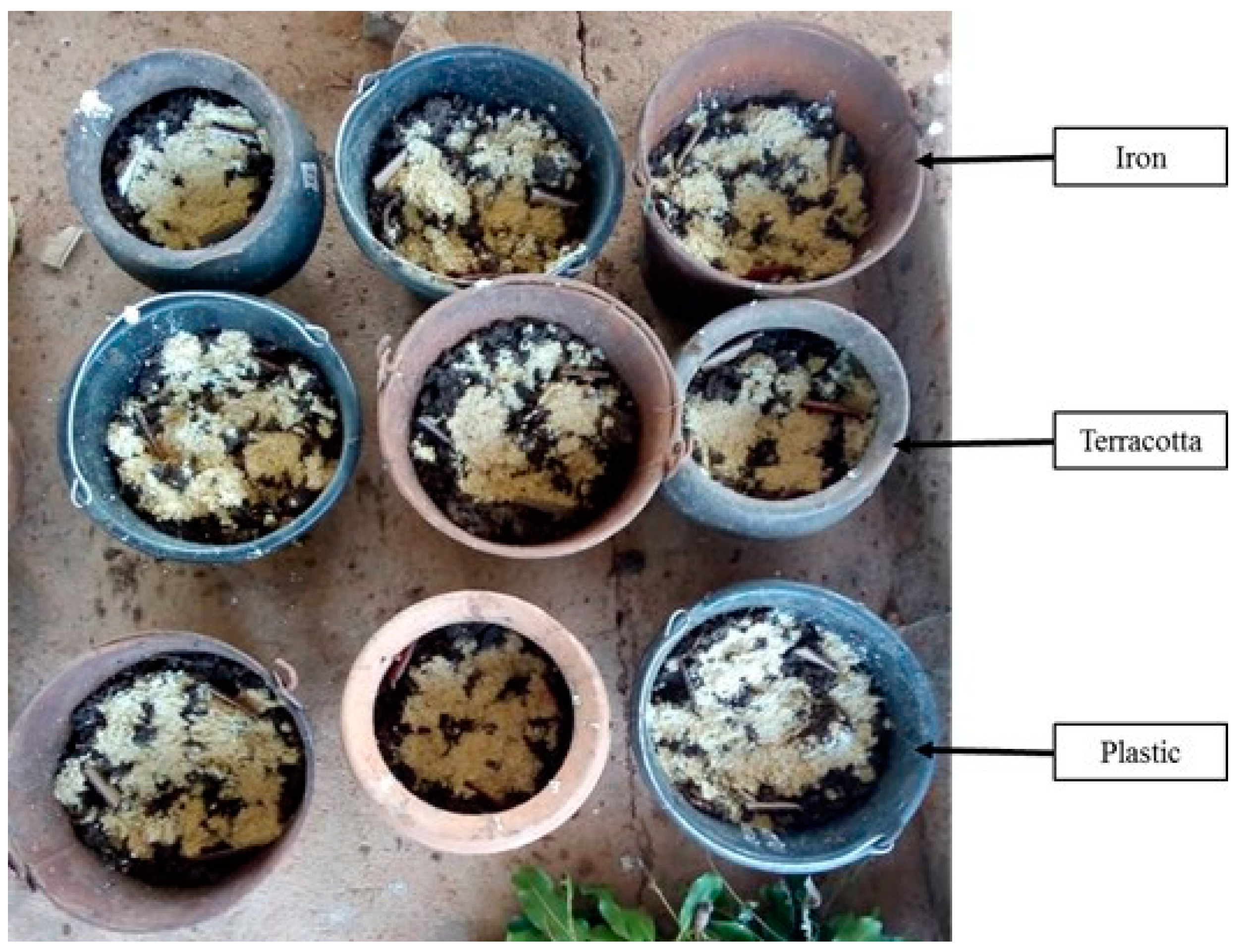 Insects 14 00776 g004