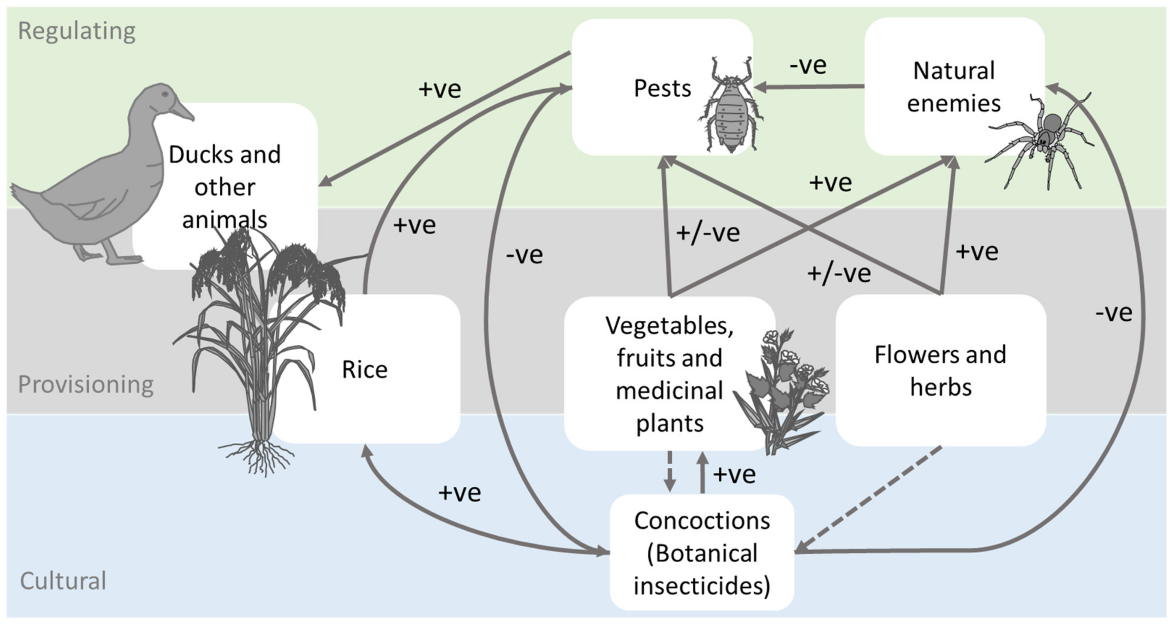Insects 14 00778 g003