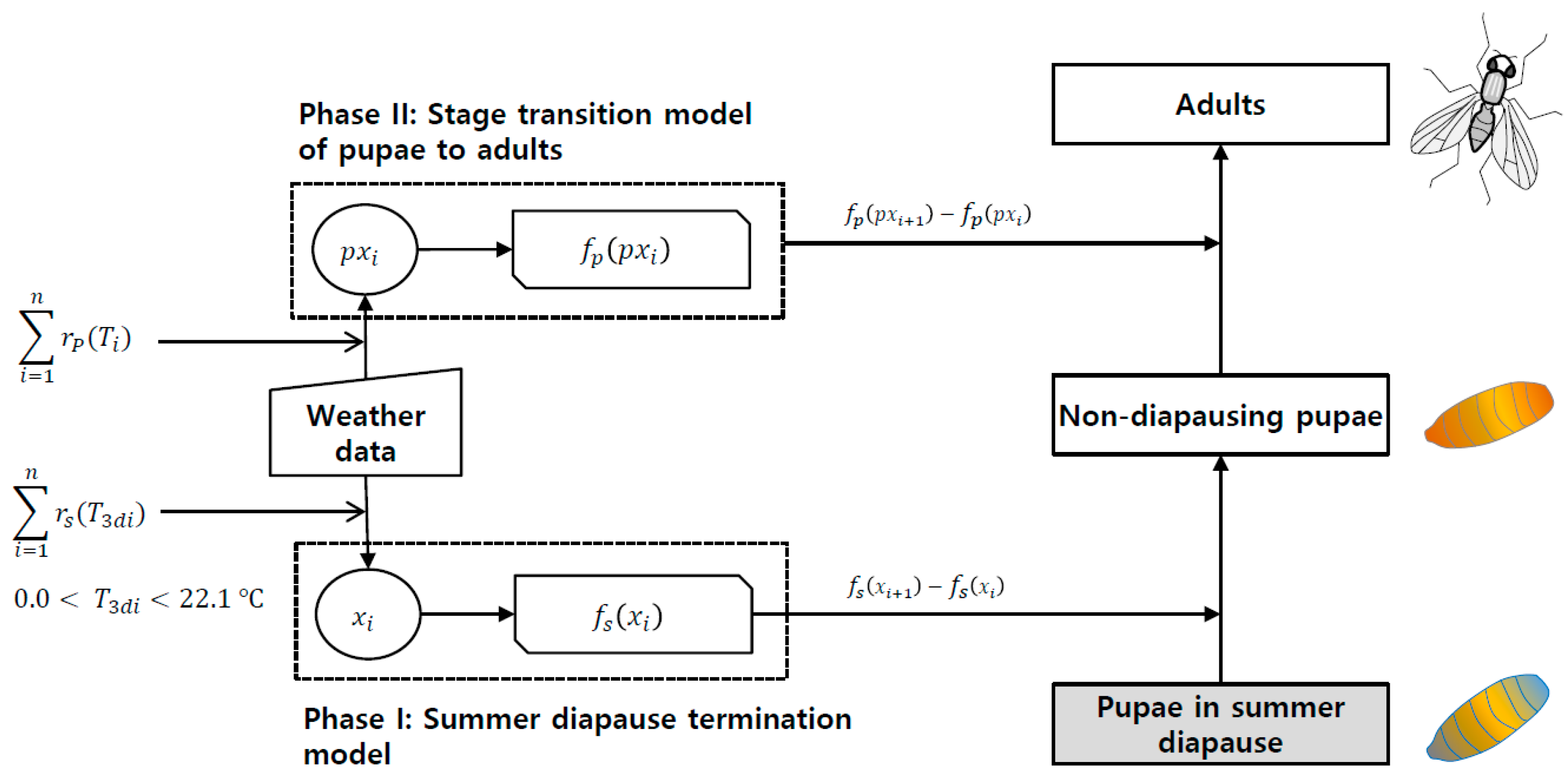 Insects 14 00816 g002