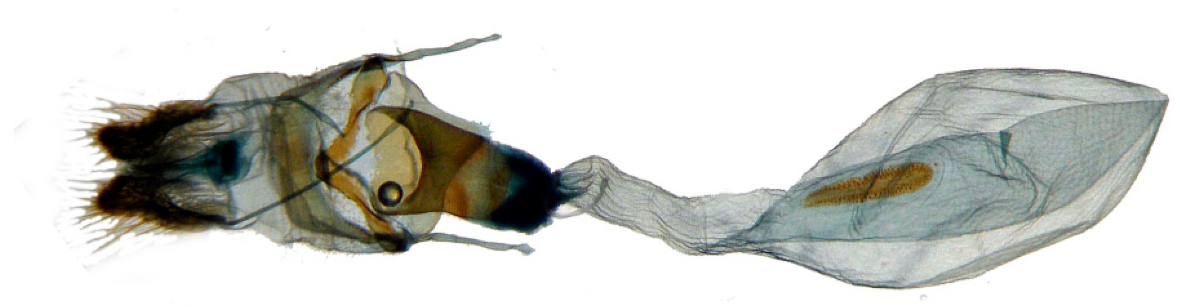 Insects 14 00818 g023