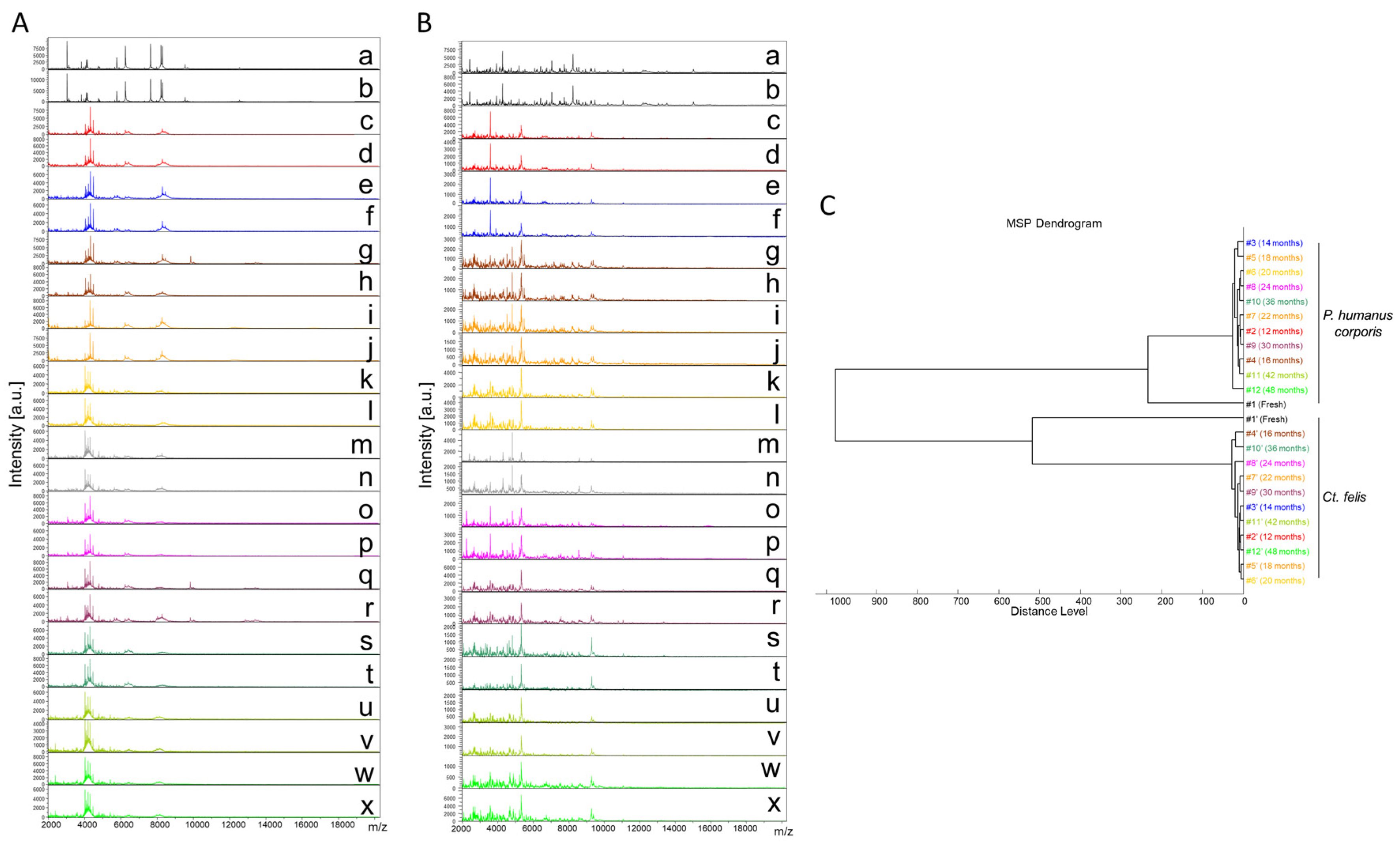 Insects 14 00825 g002