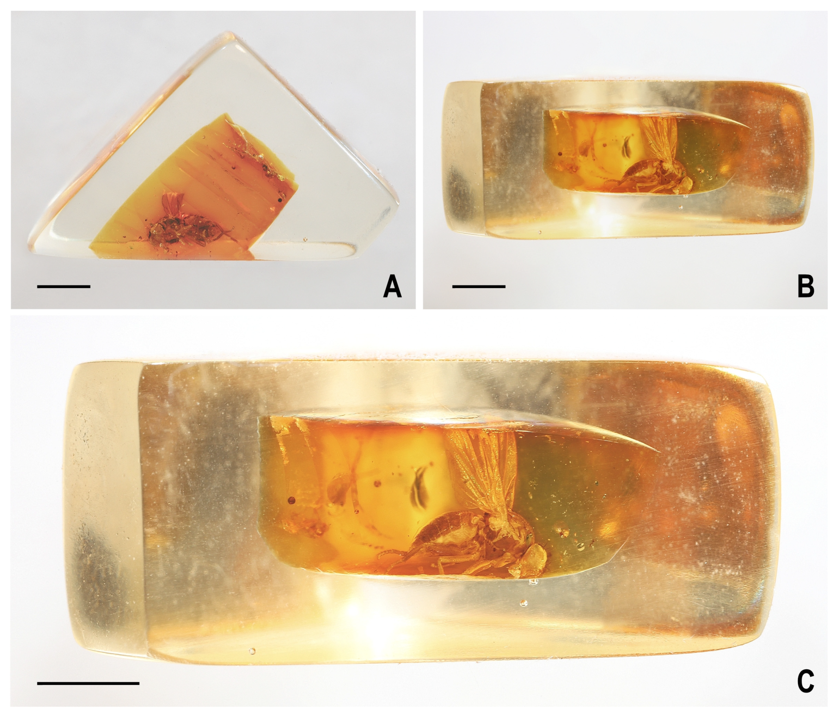 Insects 14 00835 g002 Insects 14 00835 g002