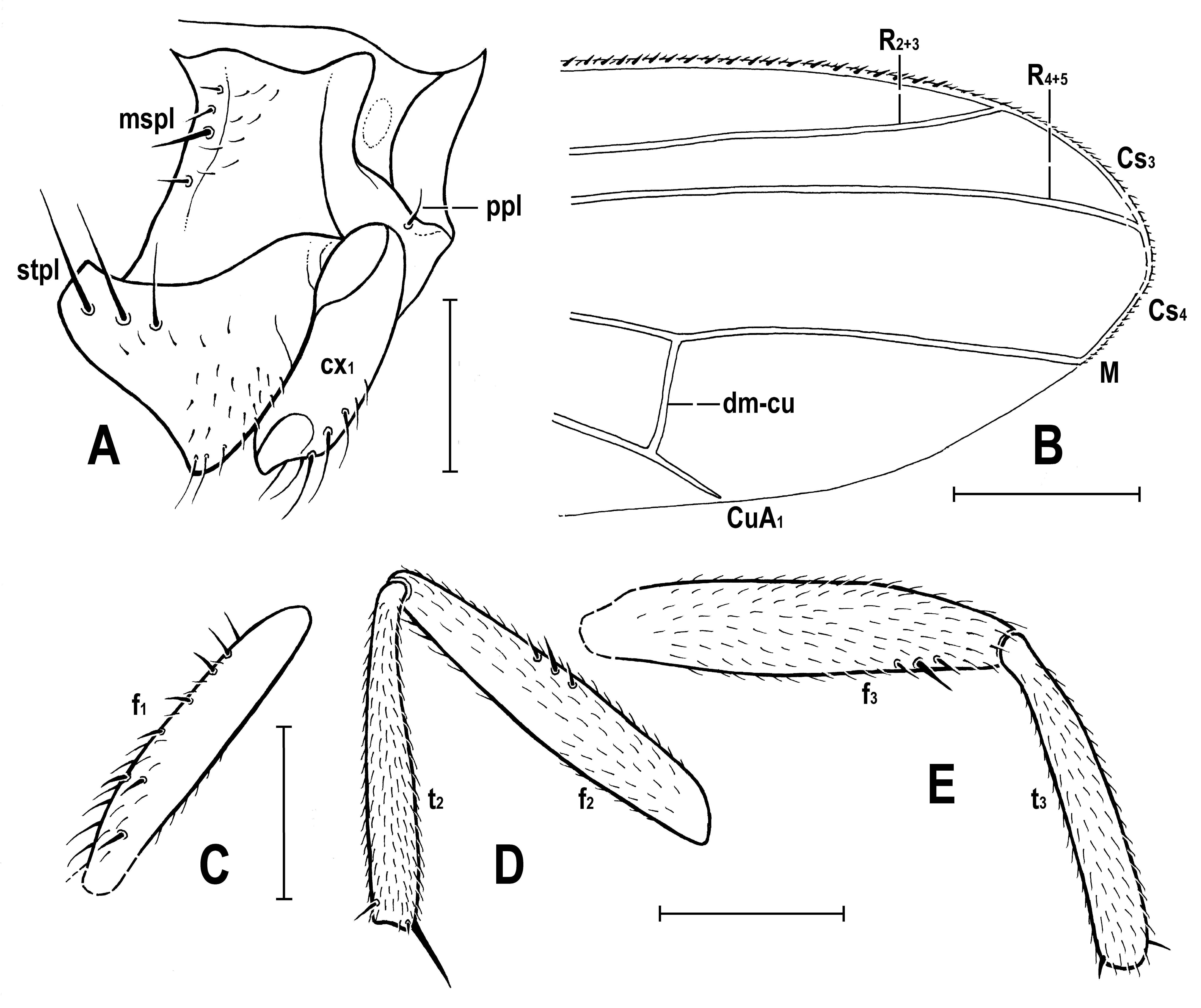 Insects 14 00835 g006 Insects 14 00835 g006