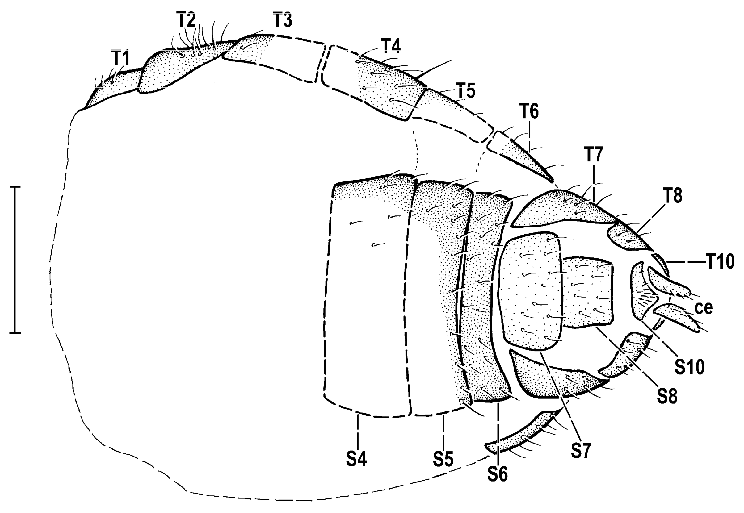 Insects 14 00835 g008 Insects 14 00835 g008