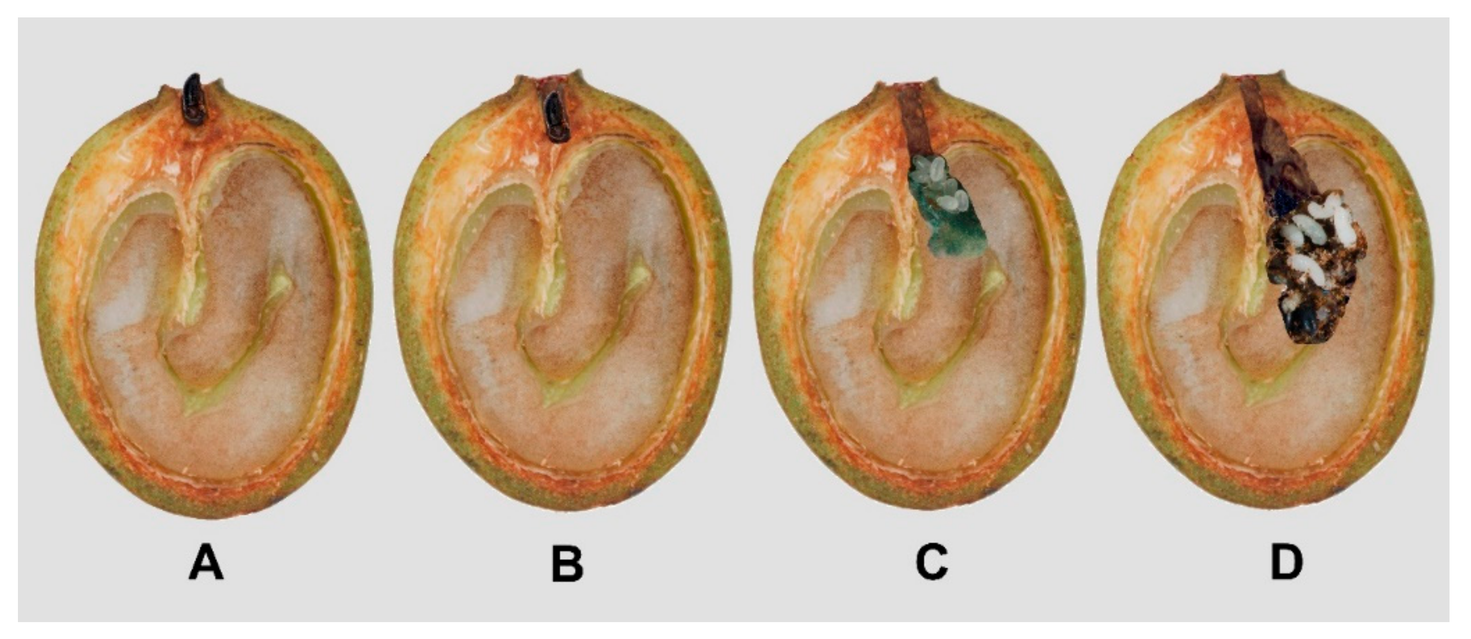 Insects 14 00865 g005