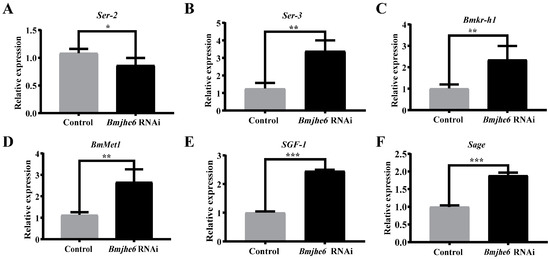 POU-M2 promotes juvenile hormone biosynthesis by directly