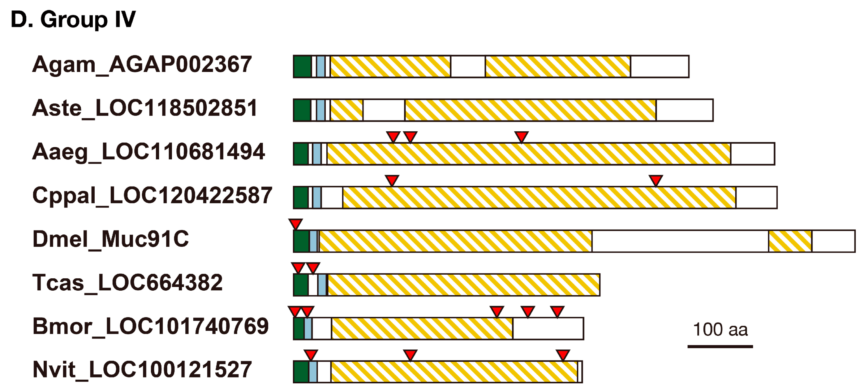 Insects 14 00941 g002b