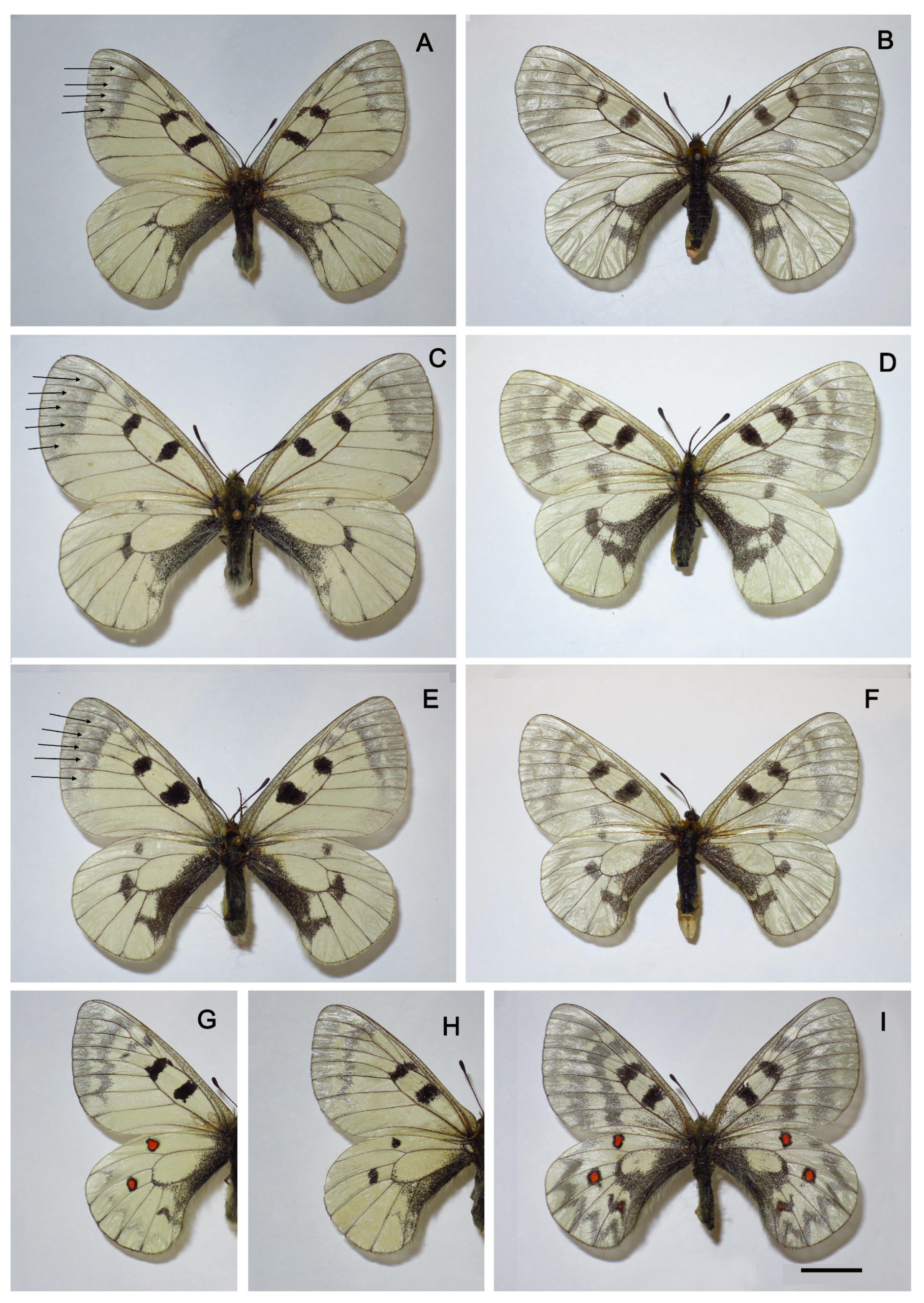 Insects 14 00942 g006