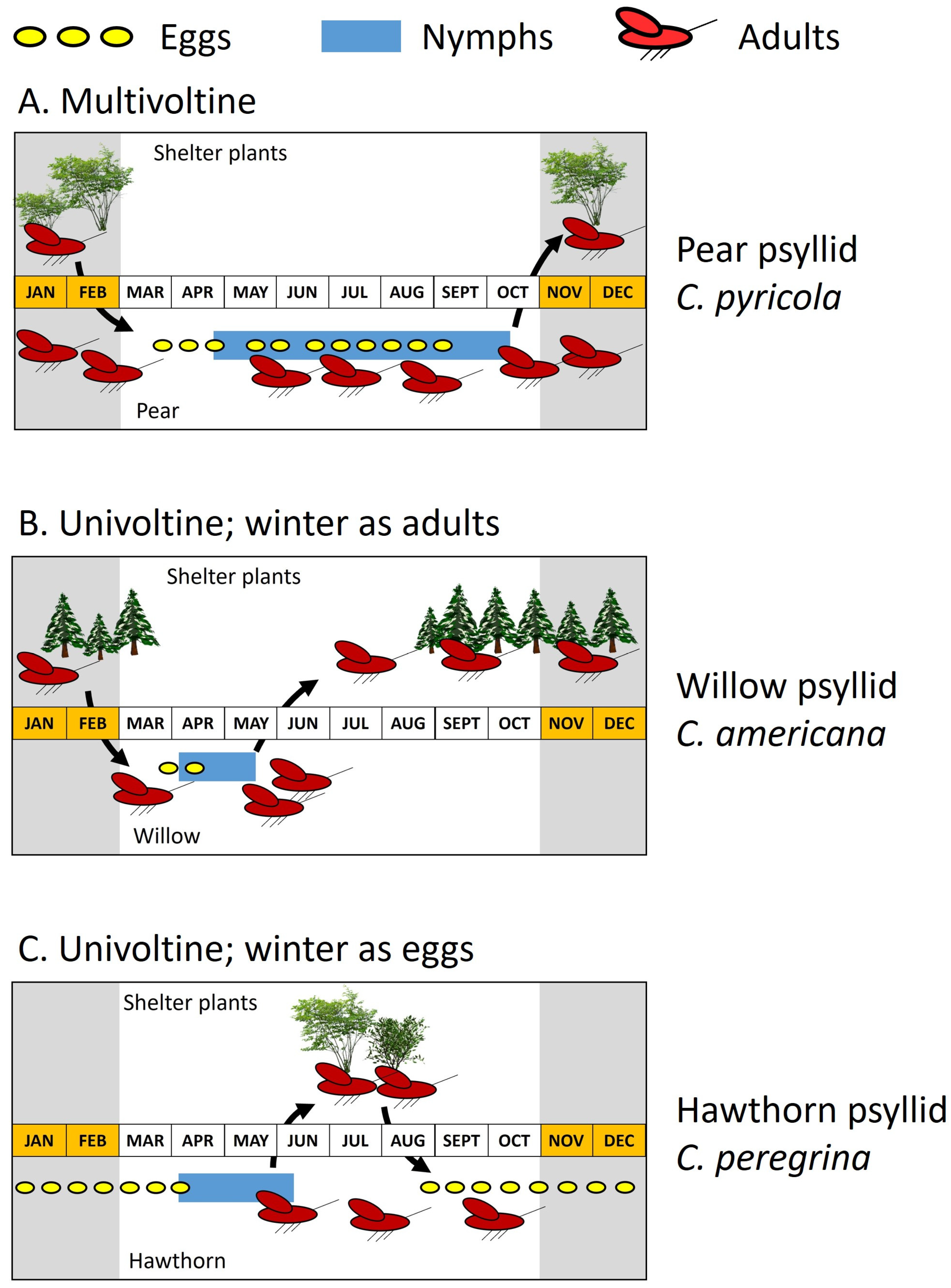Insects 15 00037 g007 Insects 15 00037 g007