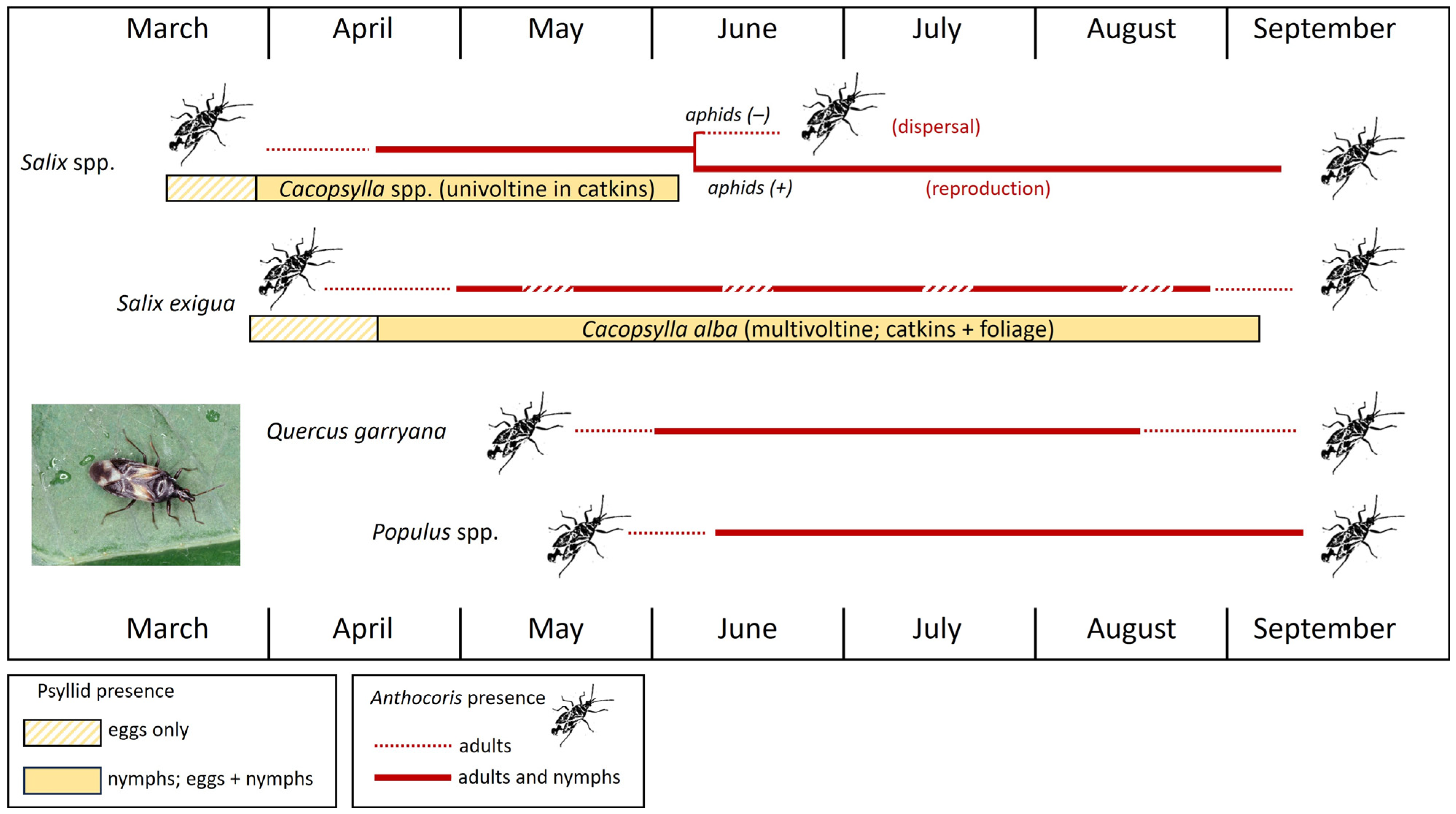 Insects 15 00037 g009 Insects 15 00037 g009