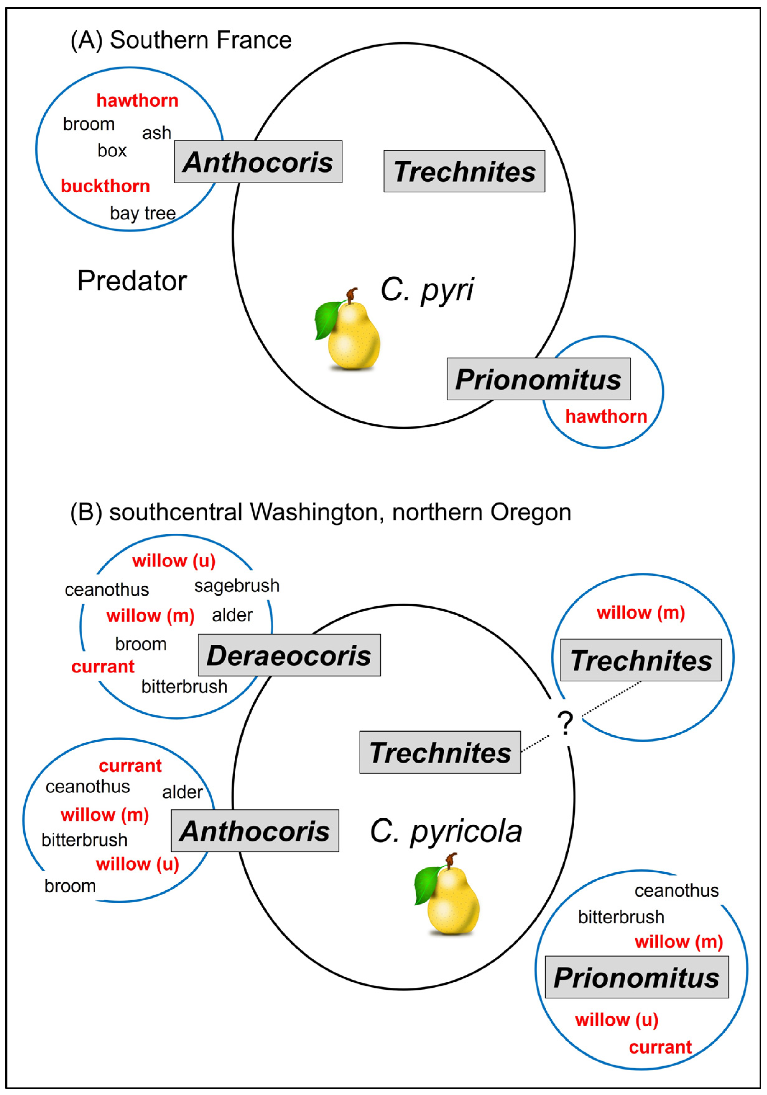 Insects 15 00037 g013 Insects 15 00037 g013