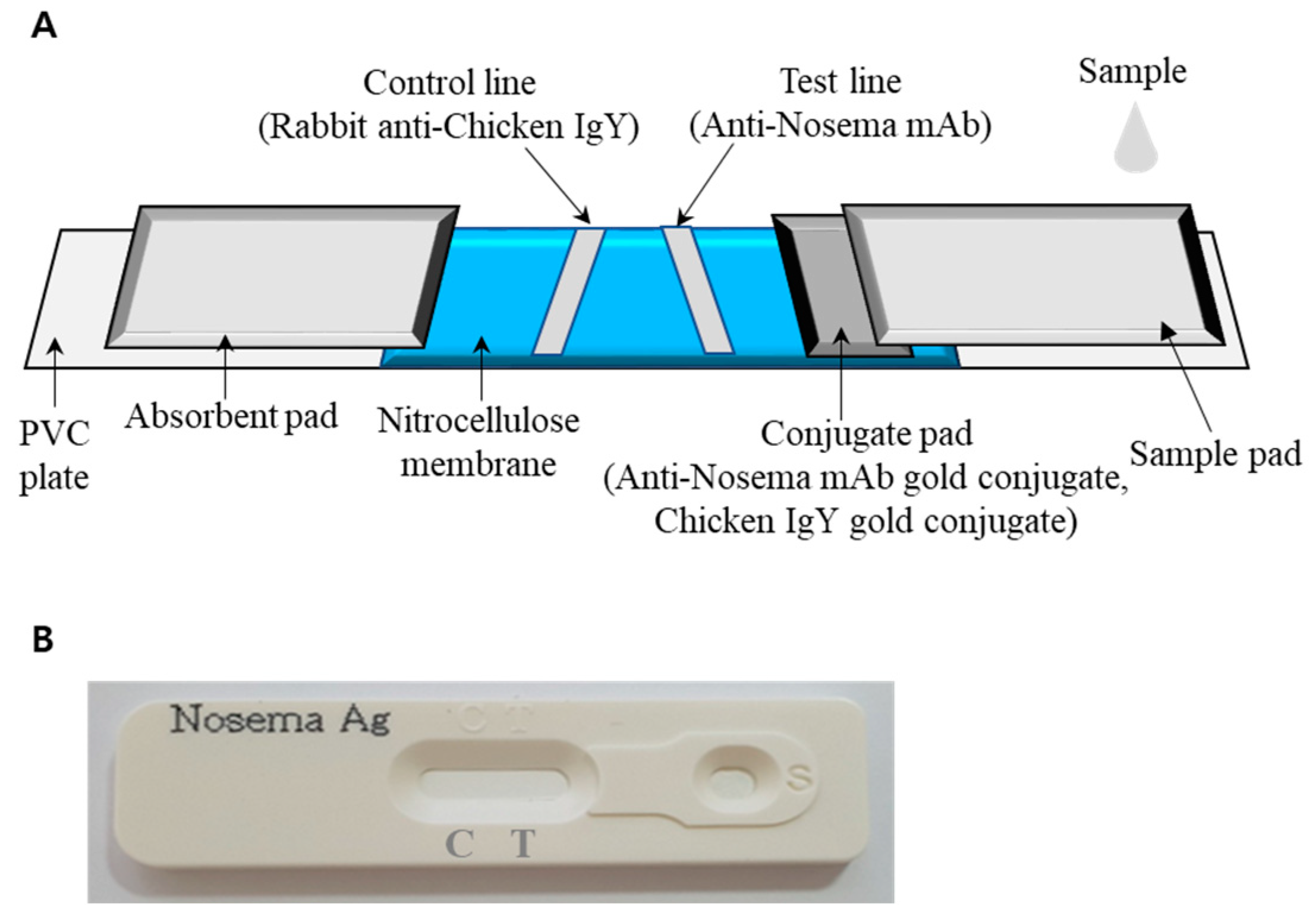 Insects 15 00059 g001