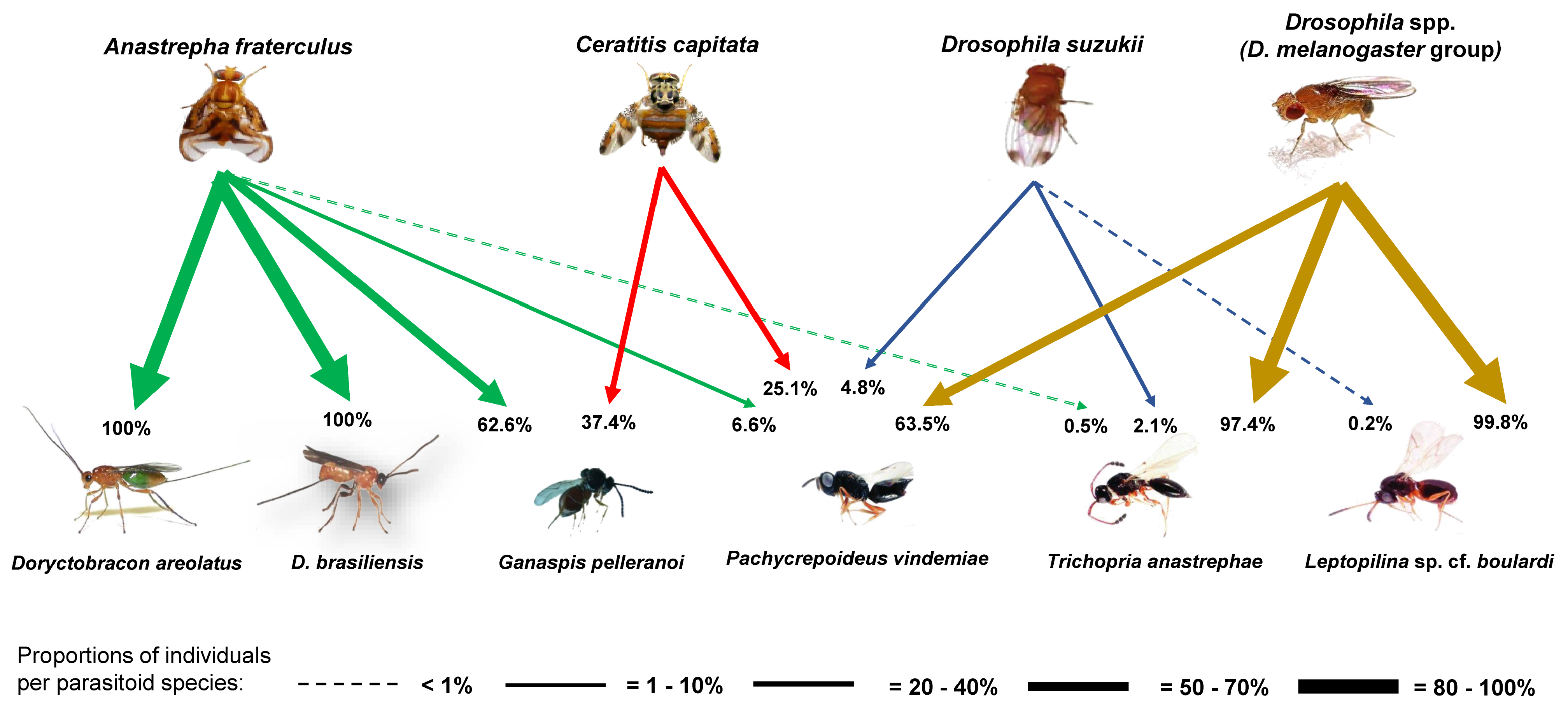 Insects 15 00061 g004