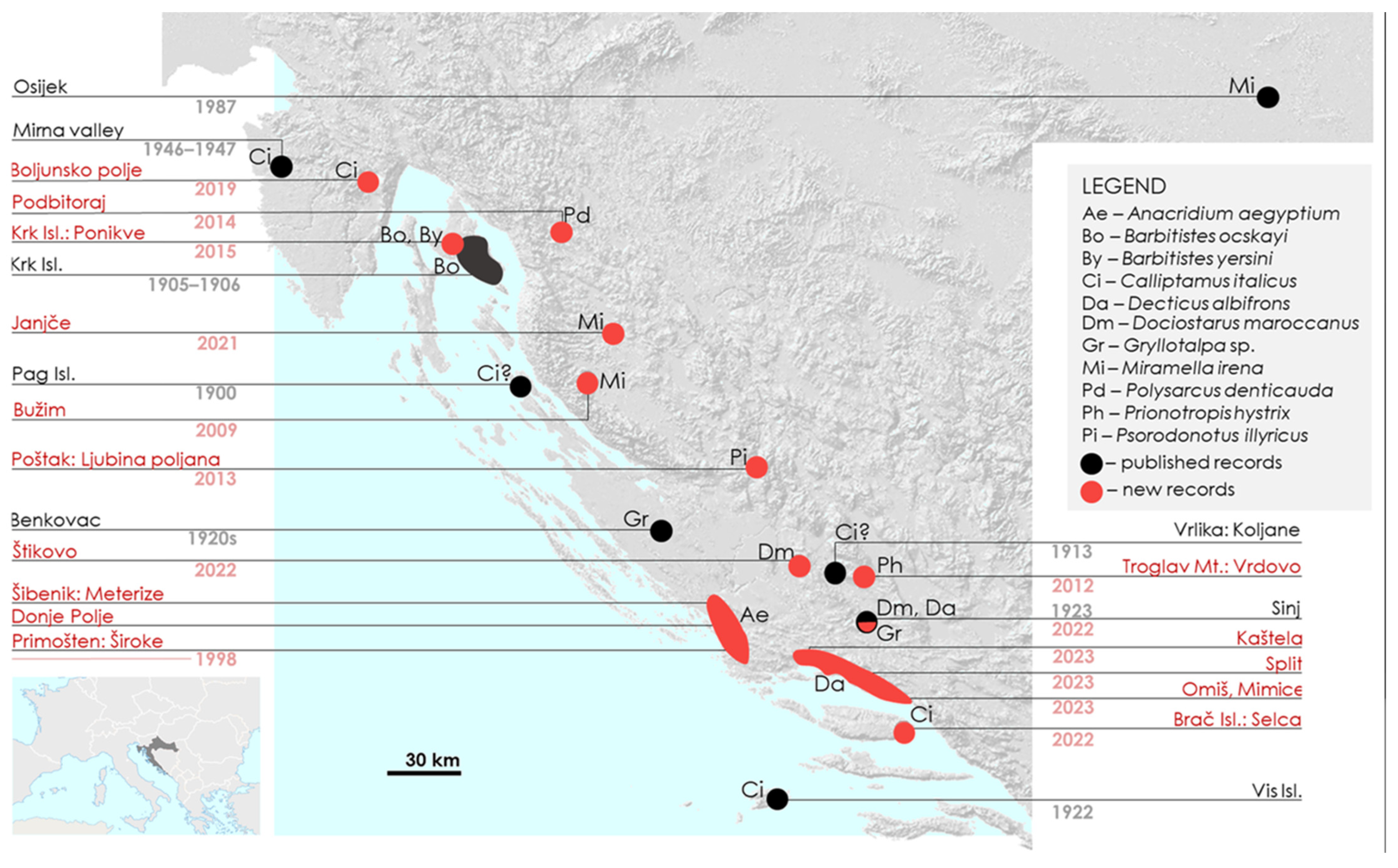 Insects 15 00082 g001