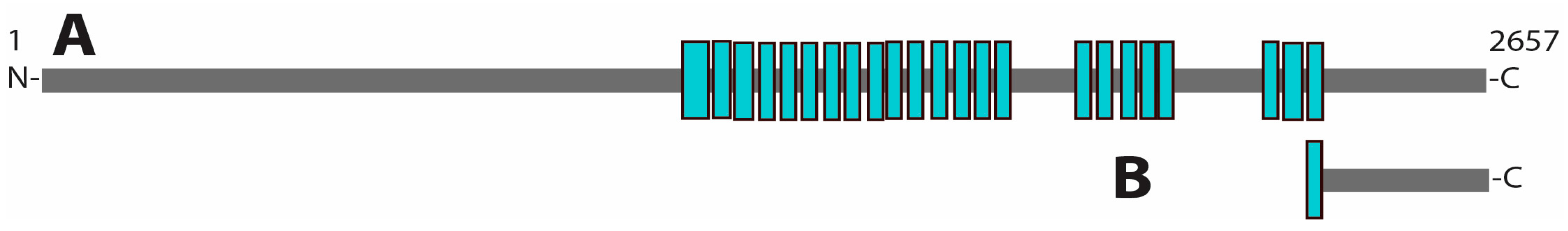 Insects 15 00084 g002