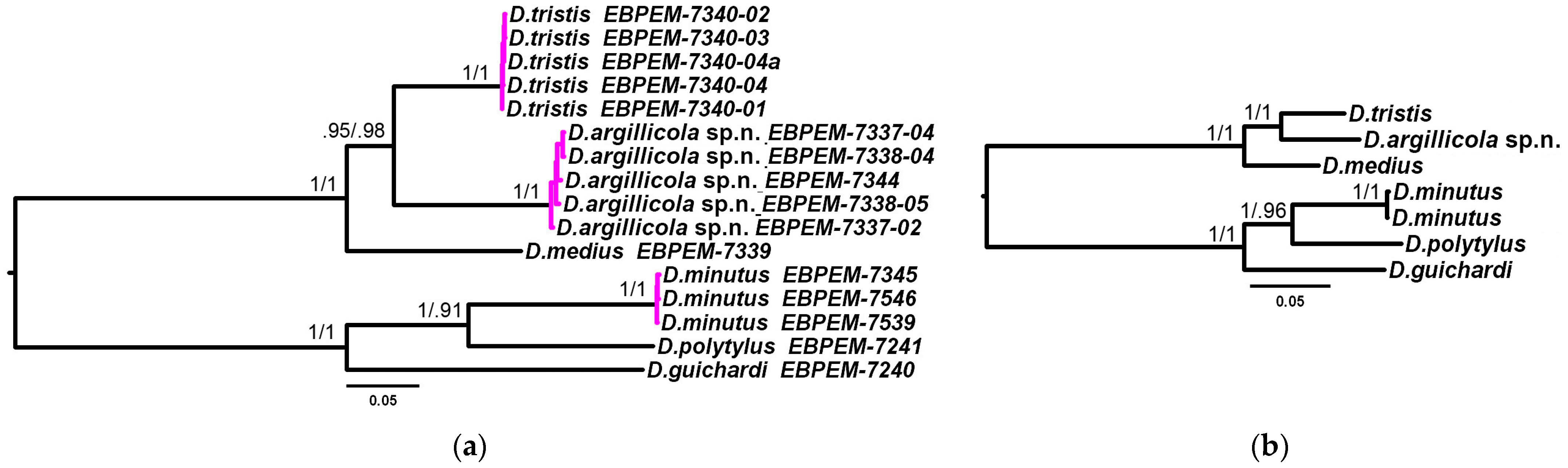 Insects 15 00086 g005