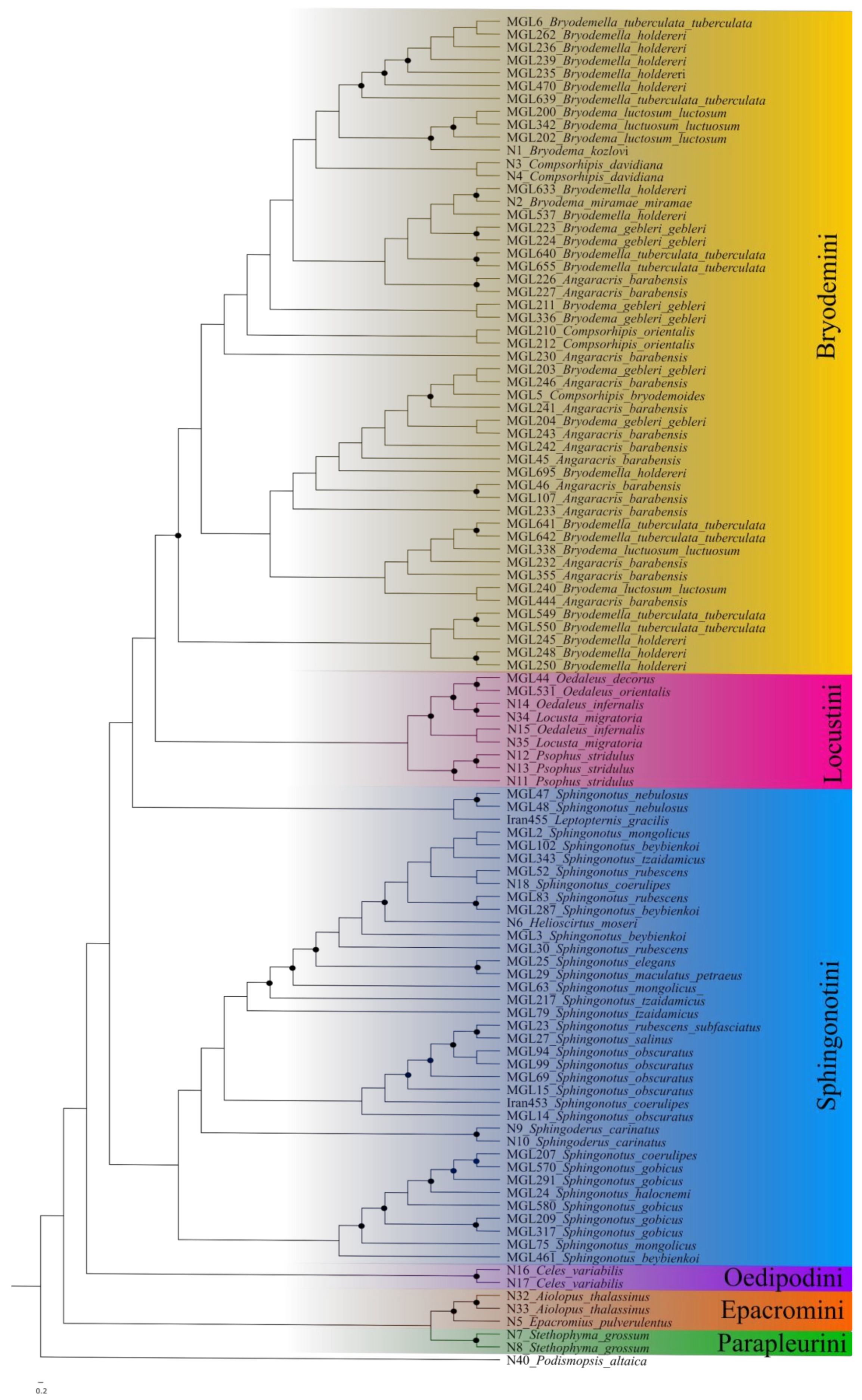 Insects 15 00128 g001 Insects 15 00128 g001