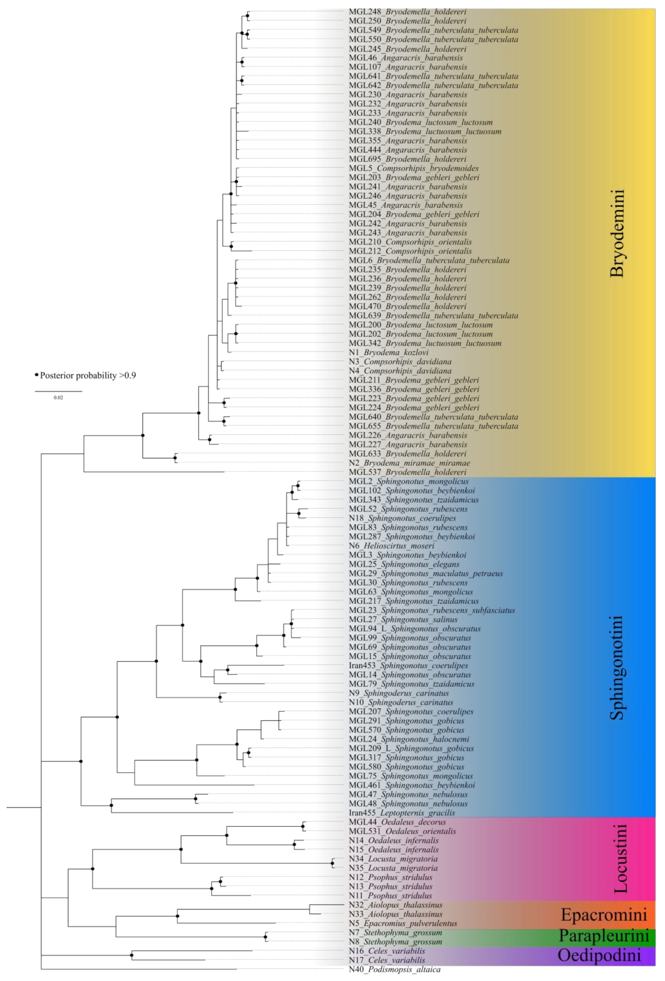 Insects 15 00128 g002 Insects 15 00128 g002