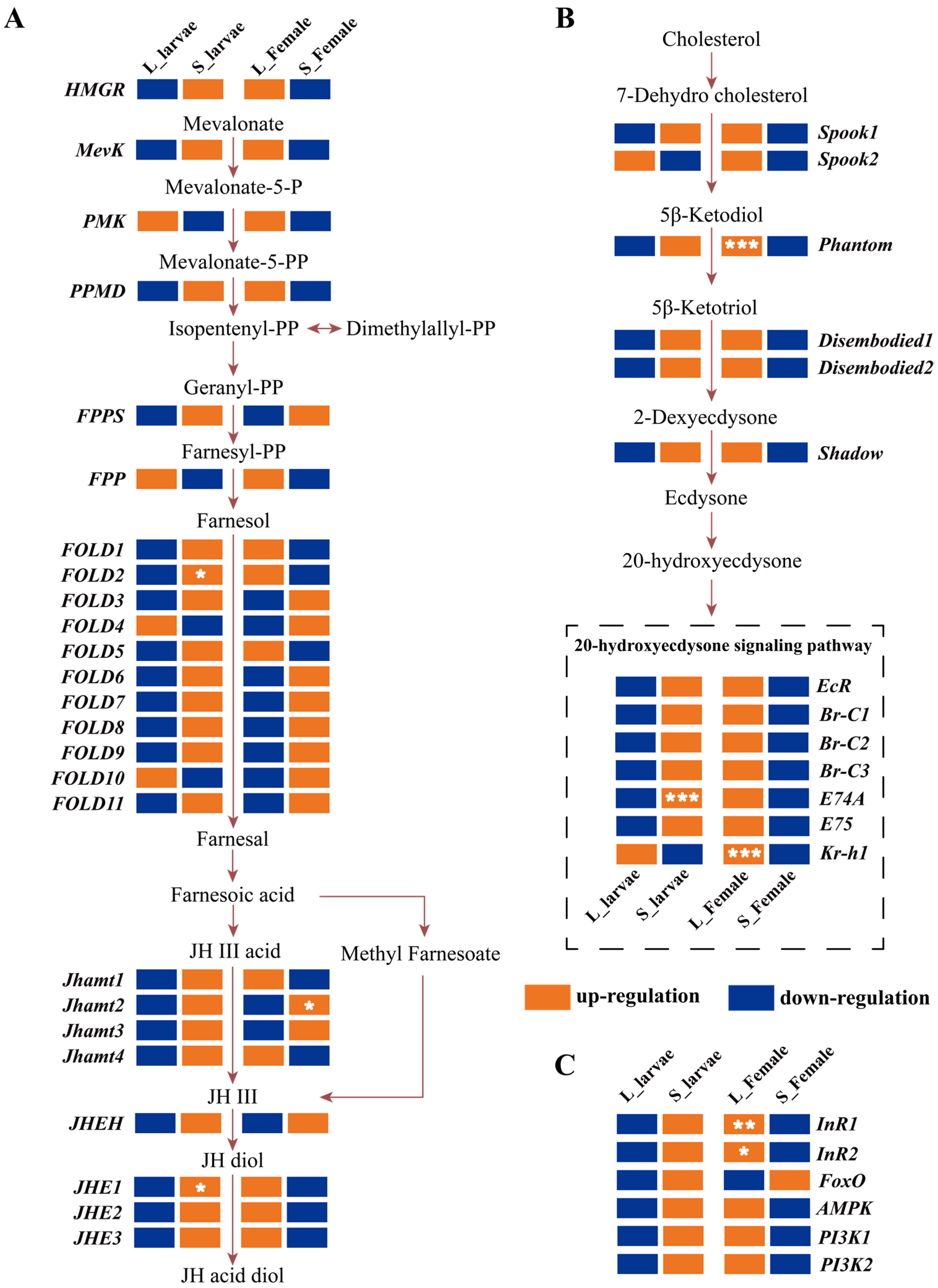 Insects 15 00136 g005
