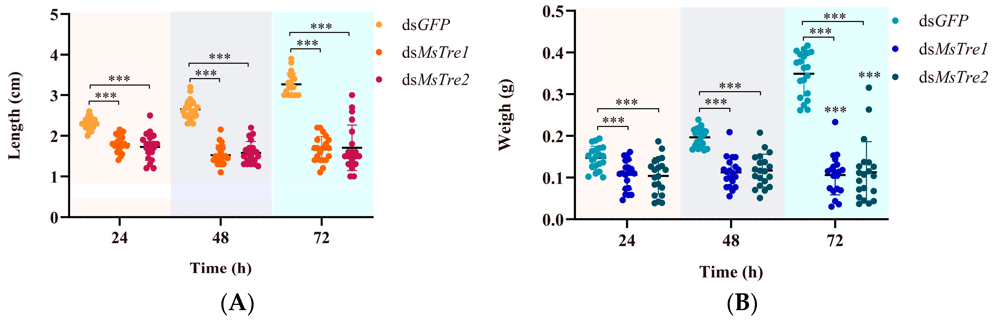 Insects 15 00142 g004a Insects 15 00142 g004a