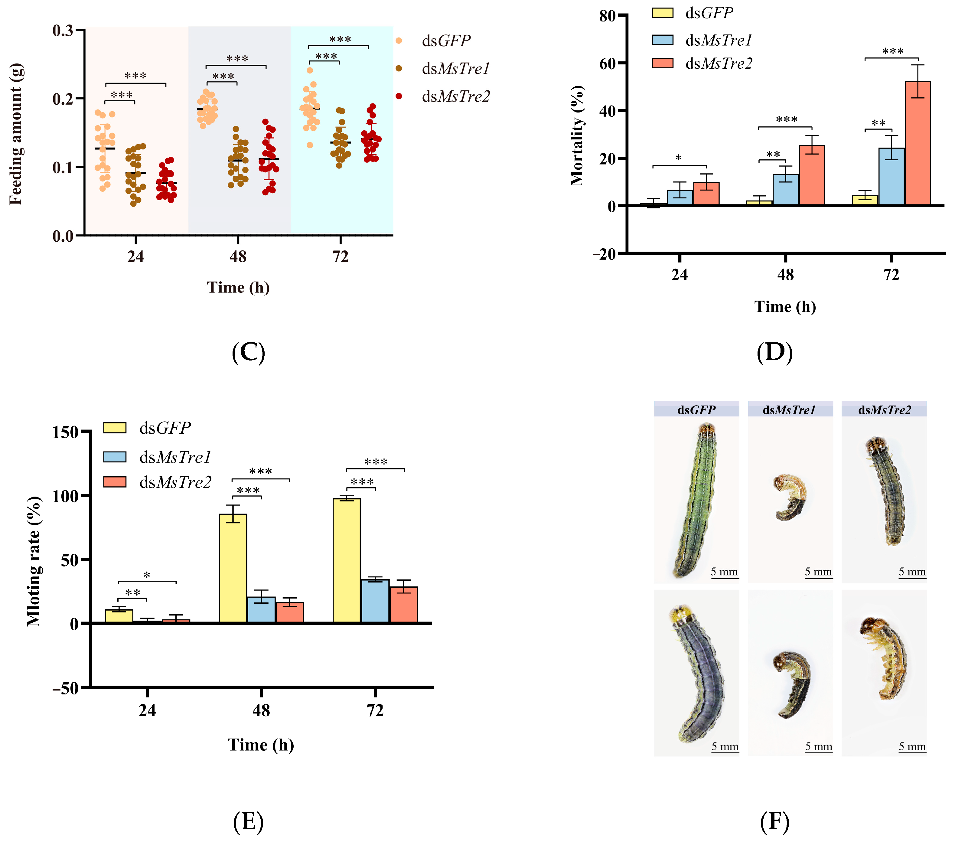 Insects 15 00142 g004b Insects 15 00142 g004b