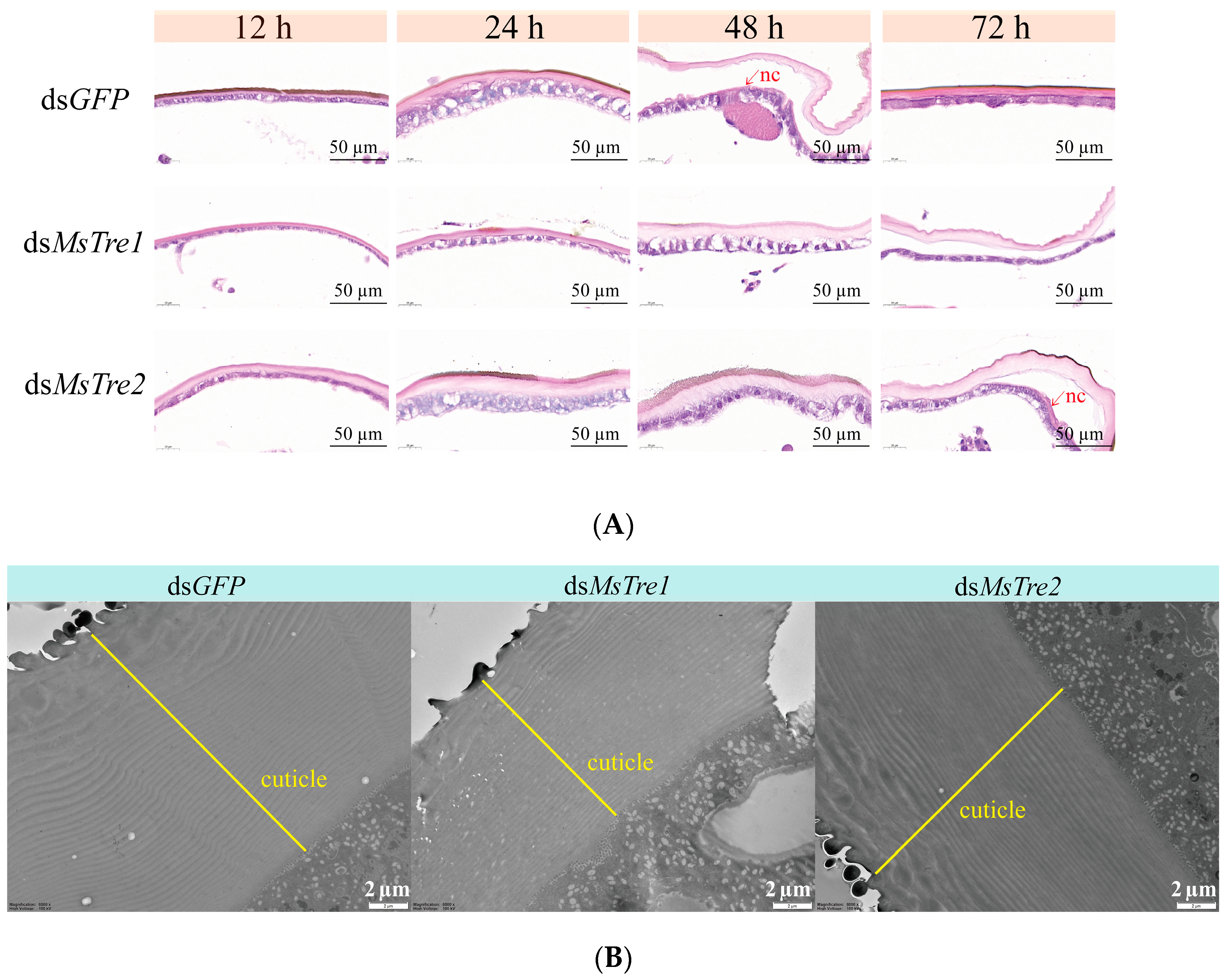 Insects 15 00142 g005 Insects 15 00142 g005