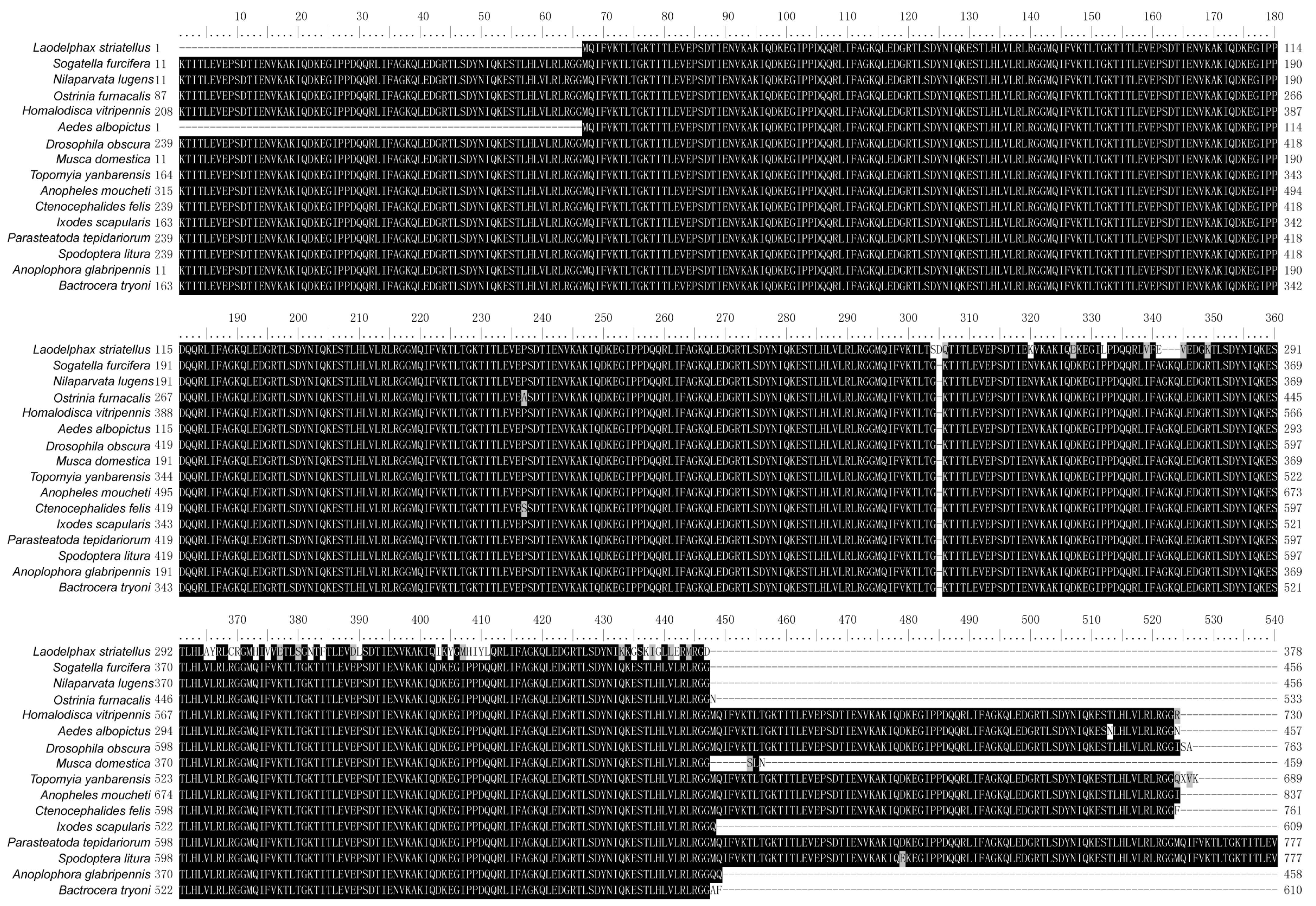 Insects 15 00149 g002