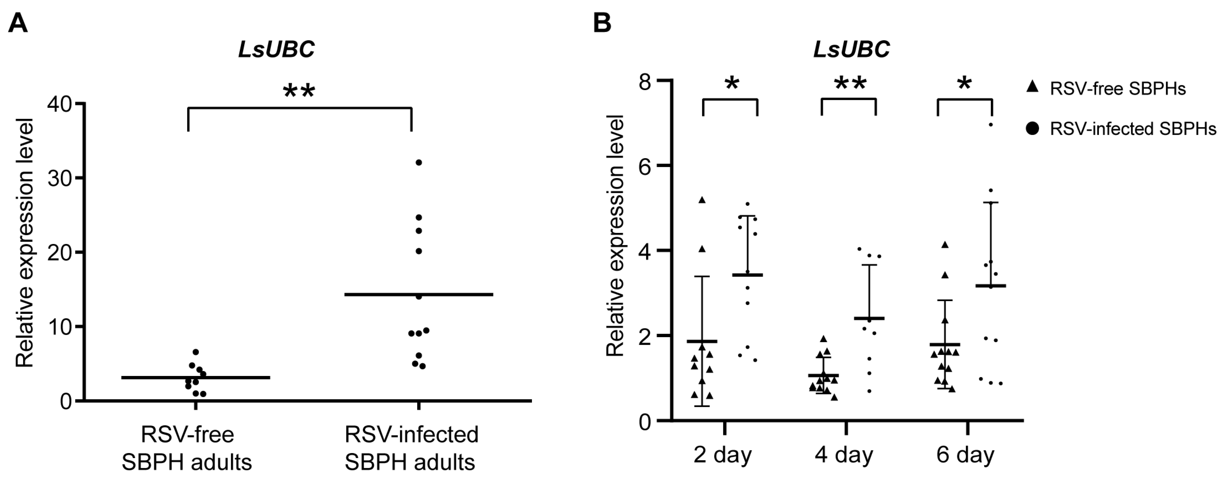 Insects 15 00149 g004
