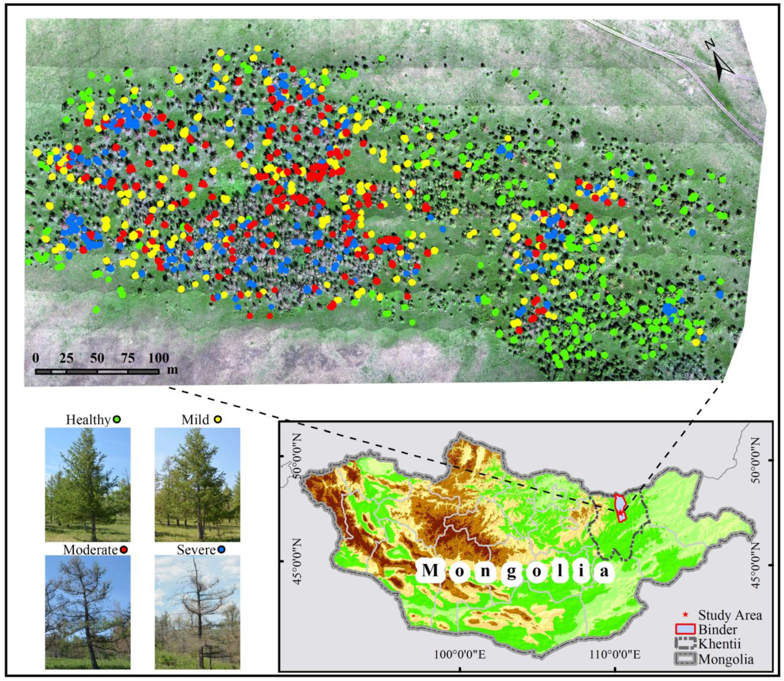 Insects 15 00172 g001