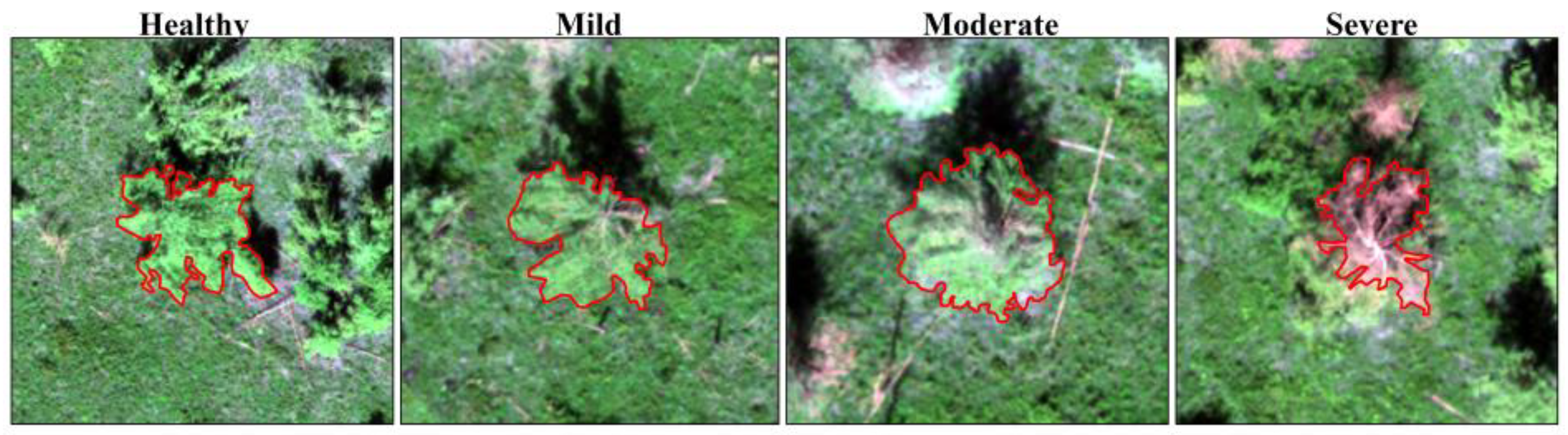 Insects 15 00172 g002