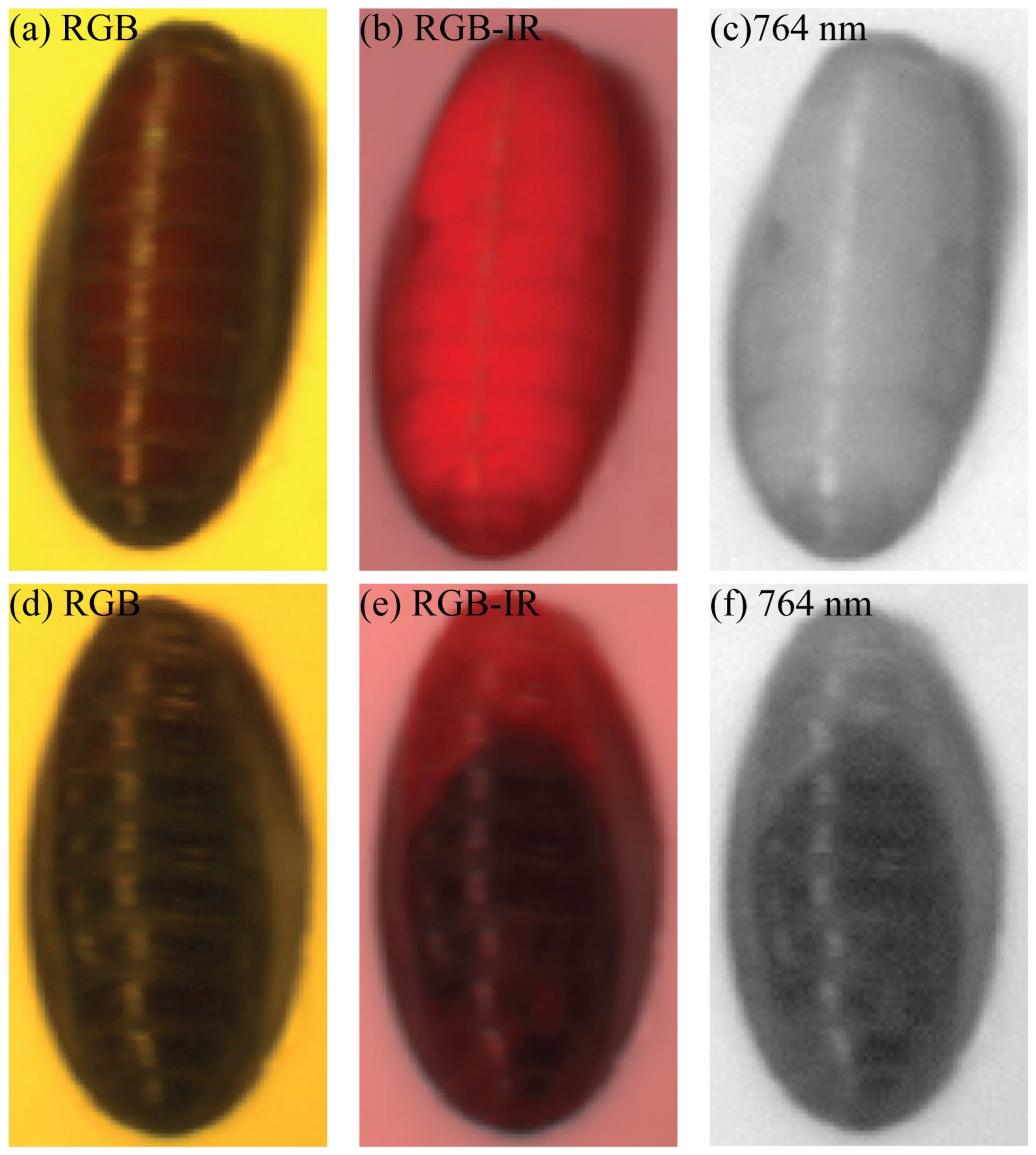 Insects 15 00184 g003
