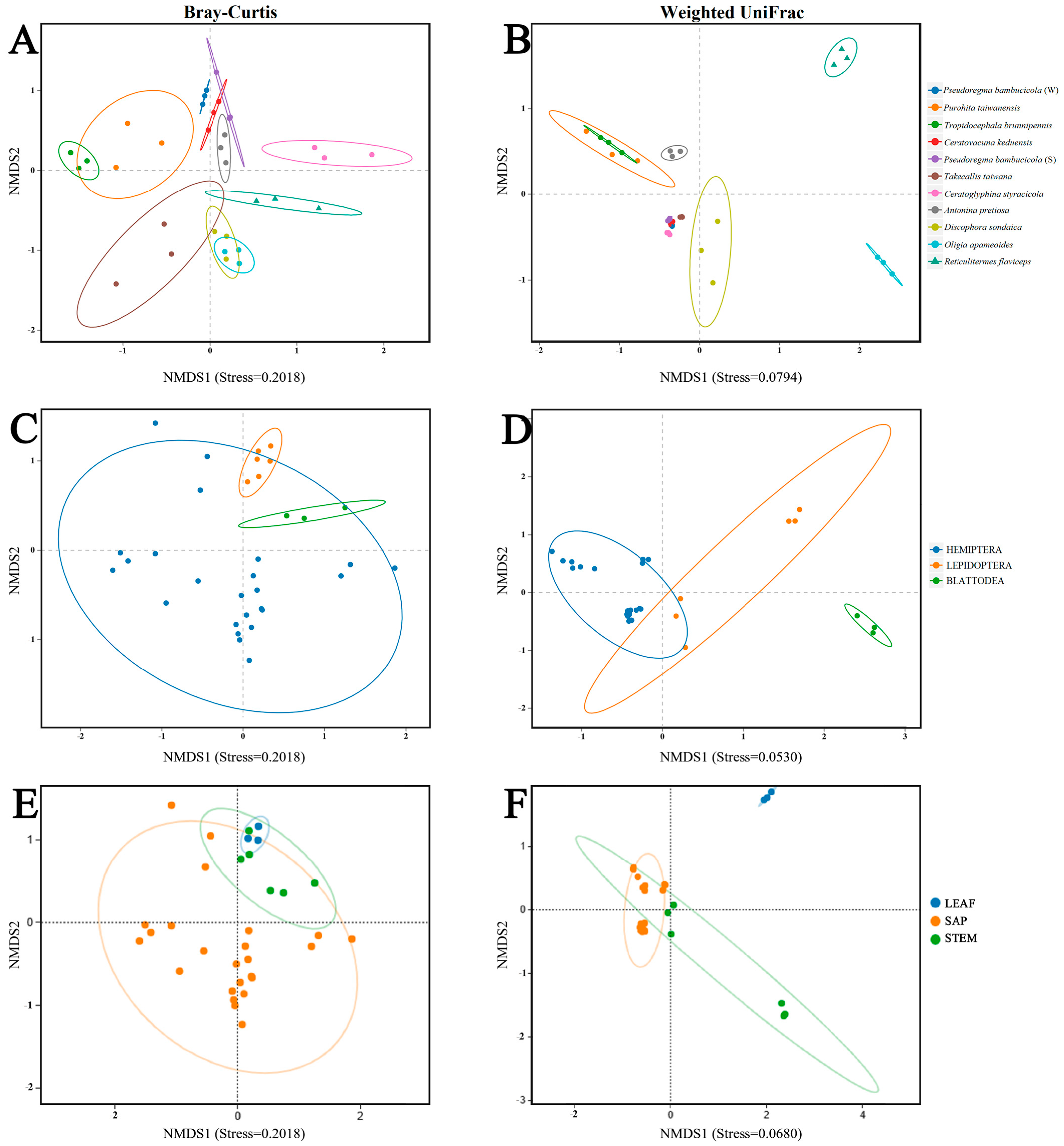 Insects 15 00187 g004
